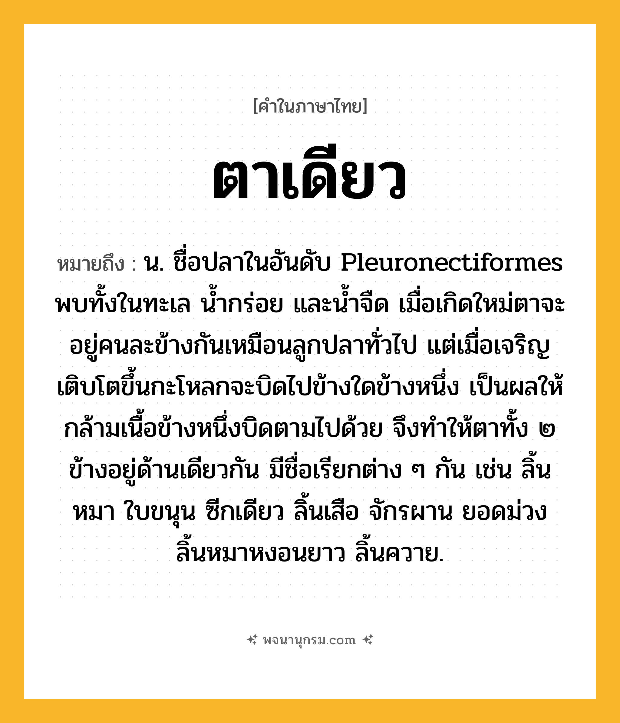 ตาเดียว ความหมาย หมายถึงอะไร?, คำในภาษาไทย ตาเดียว หมายถึง น. ชื่อปลาในอันดับ Pleuronectiformes พบทั้งในทะเล นํ้ากร่อย และนํ้าจืด เมื่อเกิดใหม่ตาจะอยู่คนละข้างกันเหมือนลูกปลาทั่วไป แต่เมื่อเจริญเติบโตขึ้นกะโหลกจะบิดไปข้างใดข้างหนึ่ง เป็นผลให้กล้ามเนื้อข้างหนึ่งบิดตามไปด้วย จึงทำให้ตาทั้ง ๒ ข้างอยู่ด้านเดียวกัน มีชื่อเรียกต่าง ๆ กัน เช่น ลิ้นหมา ใบขนุน ซีกเดียว ลิ้นเสือ จักรผาน ยอดม่วง ลิ้นหมาหงอนยาว ลิ้นควาย.