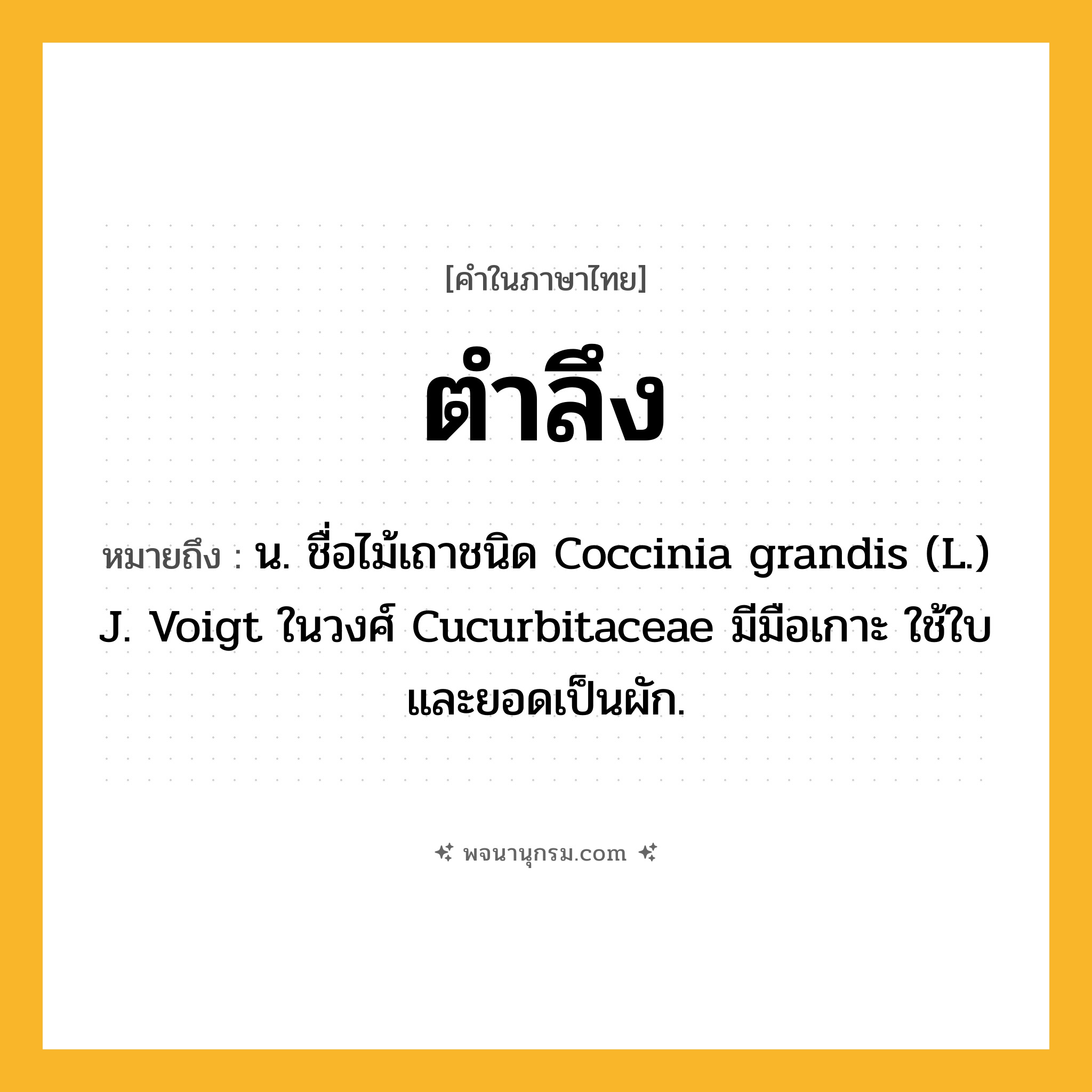 ตำลึง ความหมาย หมายถึงอะไร?, คำในภาษาไทย ตำลึง หมายถึง น. ชื่อไม้เถาชนิด Coccinia grandis (L.) J. Voigt ในวงศ์ Cucurbitaceae มีมือเกาะ ใช้ใบและยอดเป็นผัก.