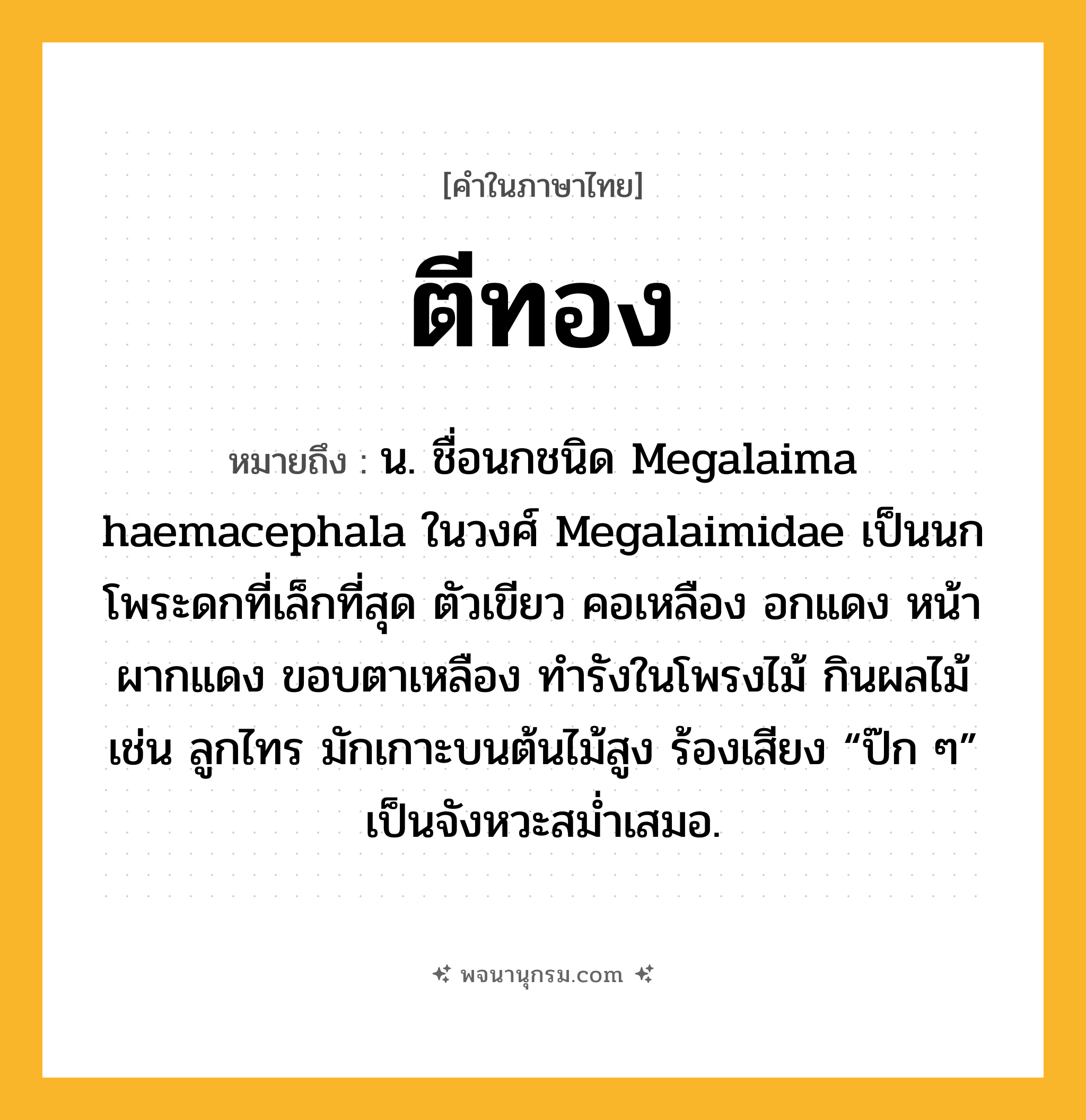ตีทอง ความหมาย หมายถึงอะไร?, คำในภาษาไทย ตีทอง หมายถึง น. ชื่อนกชนิด Megalaima haemacephala ในวงศ์ Megalaimidae เป็นนกโพระดกที่เล็กที่สุด ตัวเขียว คอเหลือง อกแดง หน้าผากแดง ขอบตาเหลือง ทํารังในโพรงไม้ กินผลไม้ เช่น ลูกไทร มักเกาะบนต้นไม้สูง ร้องเสียง “ป๊ก ๆ” เป็นจังหวะสมํ่าเสมอ.