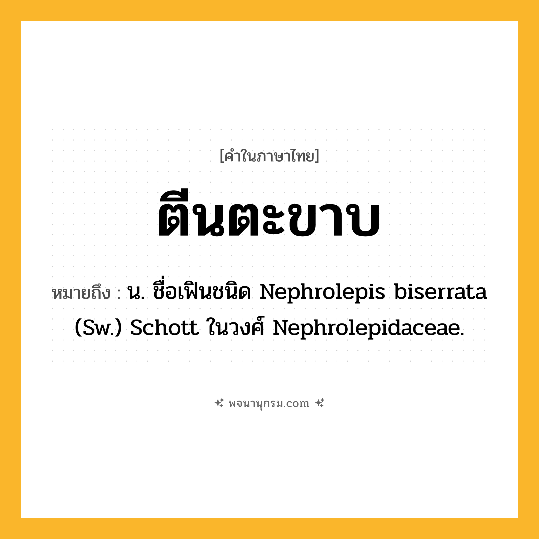ตีนตะขาบ ความหมาย หมายถึงอะไร?, คำในภาษาไทย ตีนตะขาบ หมายถึง น. ชื่อเฟินชนิด Nephrolepis biserrata (Sw.) Schott ในวงศ์ Nephrolepidaceae.