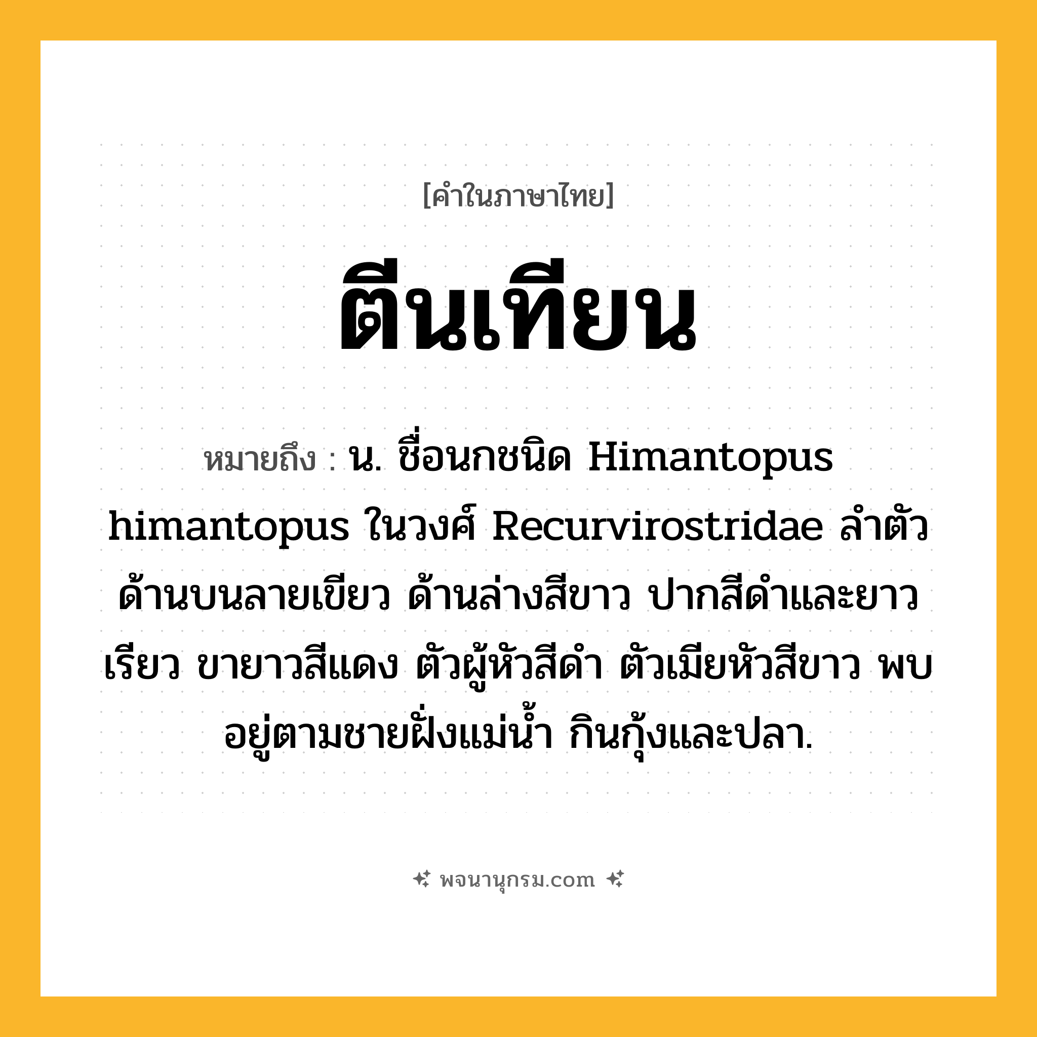ตีนเทียน ความหมาย หมายถึงอะไร?, คำในภาษาไทย ตีนเทียน หมายถึง น. ชื่อนกชนิด Himantopus himantopus ในวงศ์ Recurvirostridae ลําตัวด้านบนลายเขียว ด้านล่างสีขาว ปากสีดําและยาวเรียว ขายาวสีแดง ตัวผู้หัวสีดํา ตัวเมียหัวสีขาว พบอยู่ตามชายฝั่งแม่นํ้า กินกุ้งและปลา.