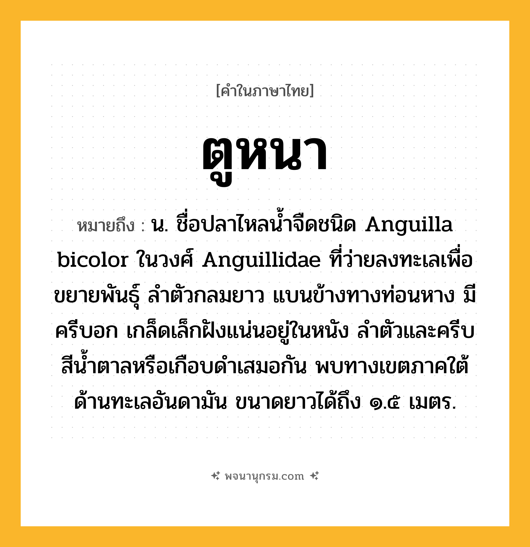 ตูหนา ความหมาย หมายถึงอะไร?, คำในภาษาไทย ตูหนา หมายถึง น. ชื่อปลาไหลนํ้าจืดชนิด Anguilla bicolor ในวงศ์ Anguillidae ที่ว่ายลงทะเลเพื่อขยายพันธุ์ ลําตัวกลมยาว แบนข้างทางท่อนหาง มีครีบอก เกล็ดเล็กฝังแน่นอยู่ในหนัง ลําตัวและครีบสีนํ้าตาลหรือเกือบดําเสมอกัน พบทางเขตภาคใต้ด้านทะเลอันดามัน ขนาดยาวได้ถึง ๑.๕ เมตร.