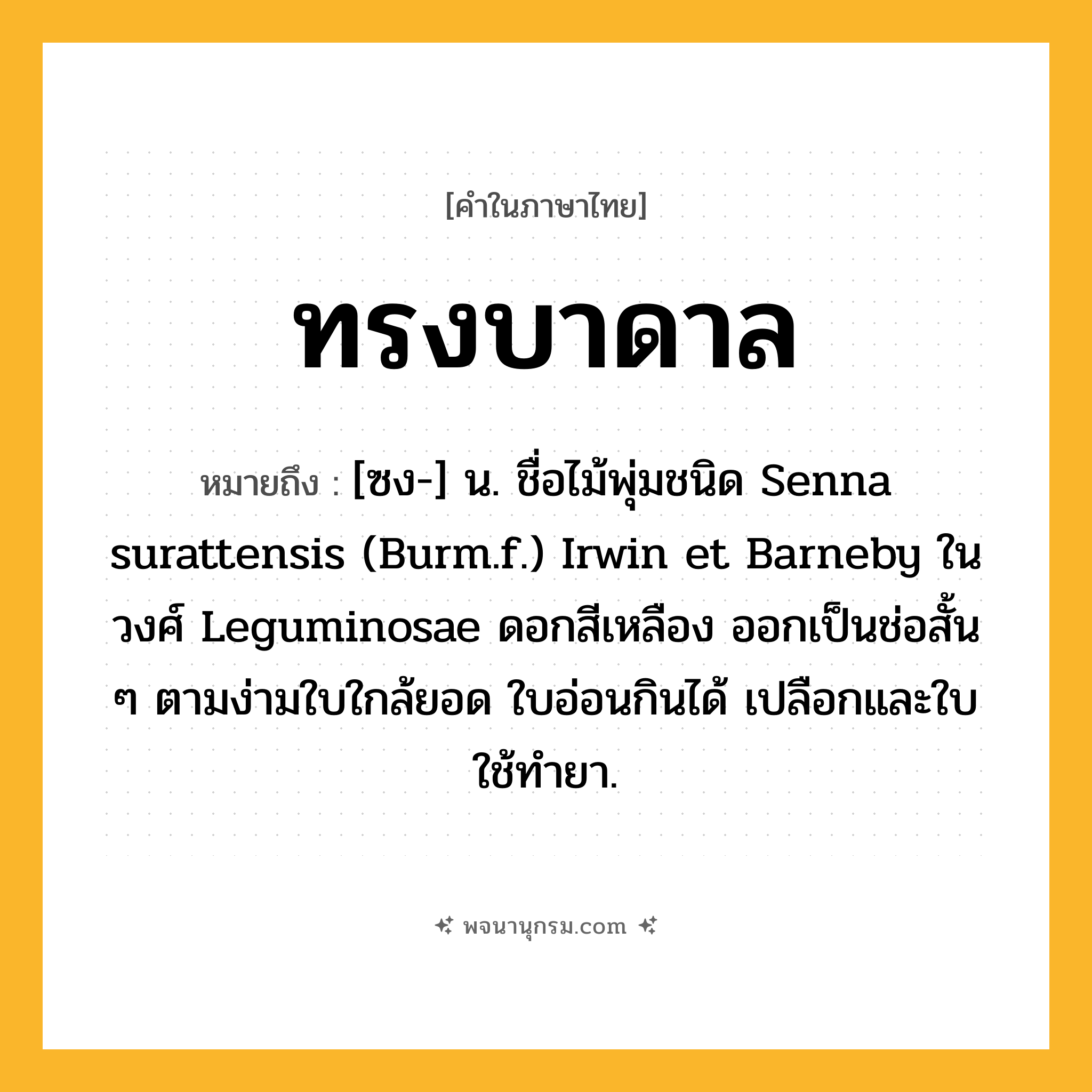 ทรงบาดาล ความหมาย หมายถึงอะไร?, คำในภาษาไทย ทรงบาดาล หมายถึง [ซง-] น. ชื่อไม้พุ่มชนิด Senna surattensis (Burm.f.) Irwin et Barneby ในวงศ์ Leguminosae ดอกสีเหลือง ออกเป็นช่อสั้น ๆ ตามง่ามใบใกล้ยอด ใบอ่อนกินได้ เปลือกและใบใช้ทํายา.