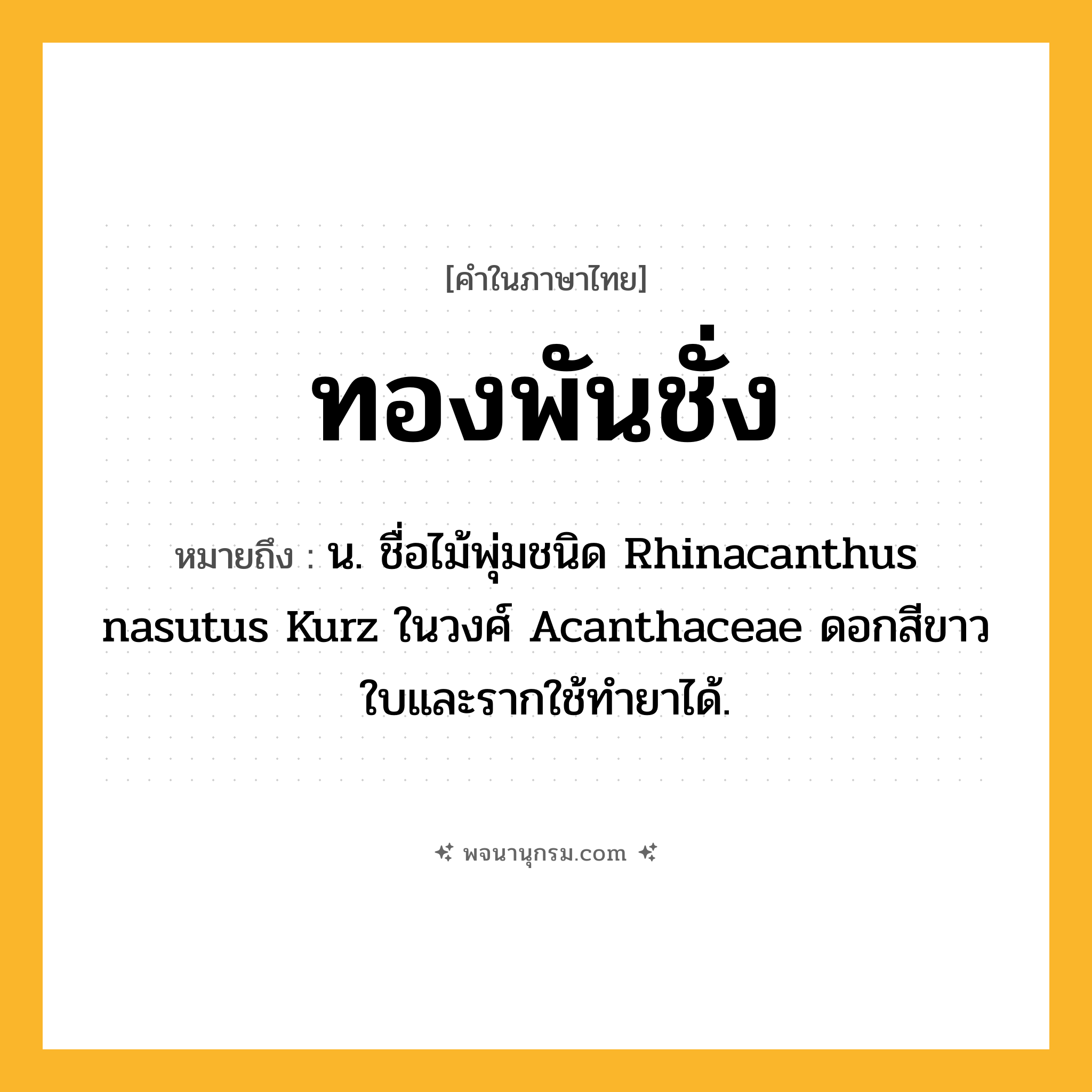 ทองพันชั่ง ความหมาย หมายถึงอะไร?, คำในภาษาไทย ทองพันชั่ง หมายถึง น. ชื่อไม้พุ่มชนิด Rhinacanthus nasutus Kurz ในวงศ์ Acanthaceae ดอกสีขาว ใบและรากใช้ทํายาได้.