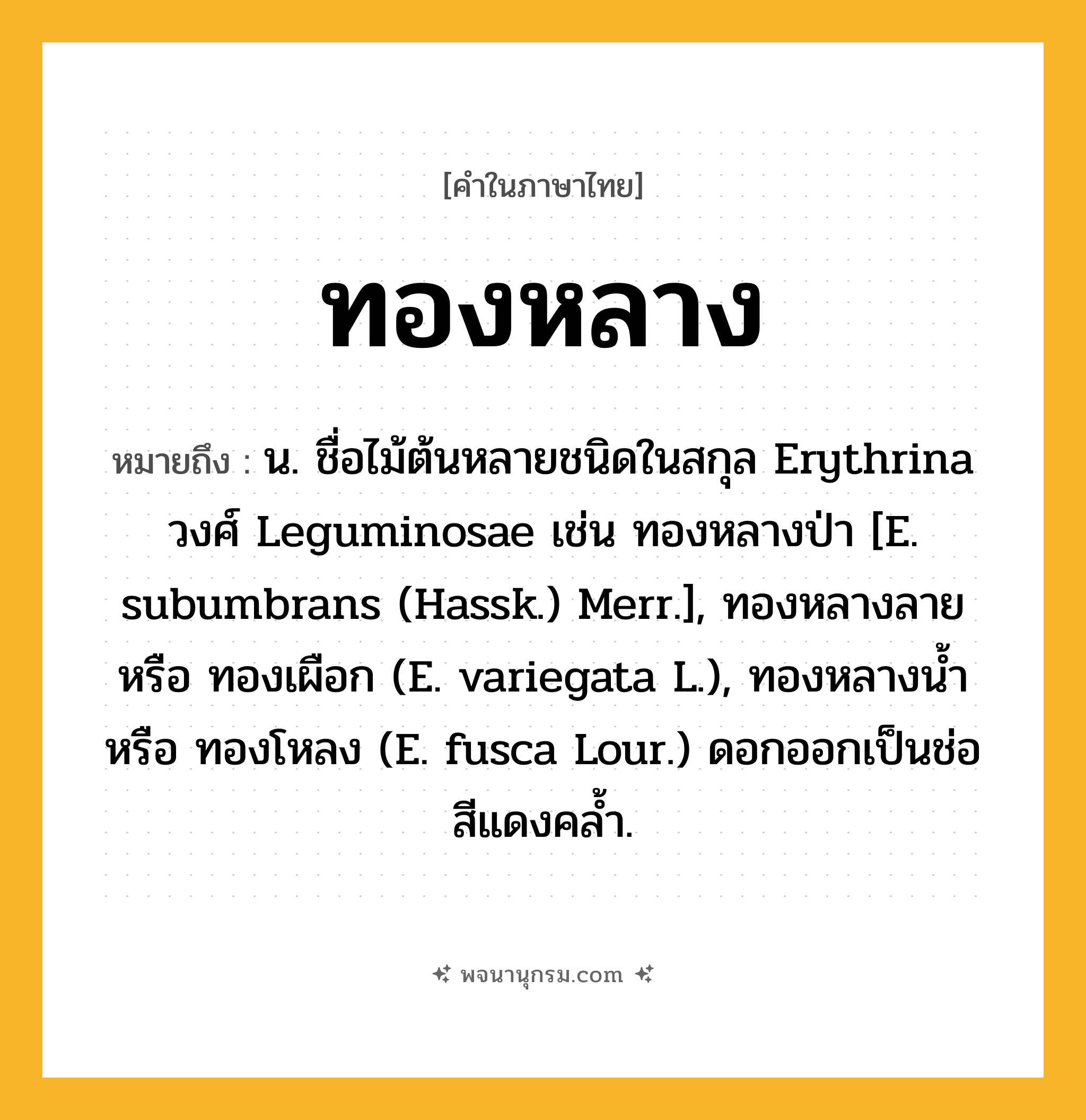 ทองหลาง ความหมาย หมายถึงอะไร?, คำในภาษาไทย ทองหลาง หมายถึง น. ชื่อไม้ต้นหลายชนิดในสกุล Erythrina วงศ์ Leguminosae เช่น ทองหลางป่า [E. subumbrans (Hassk.) Merr.], ทองหลางลาย หรือ ทองเผือก (E. variegata L.), ทองหลางนํ้า หรือ ทองโหลง (E. fusca Lour.) ดอกออกเป็นช่อสีแดงคล้ำ.