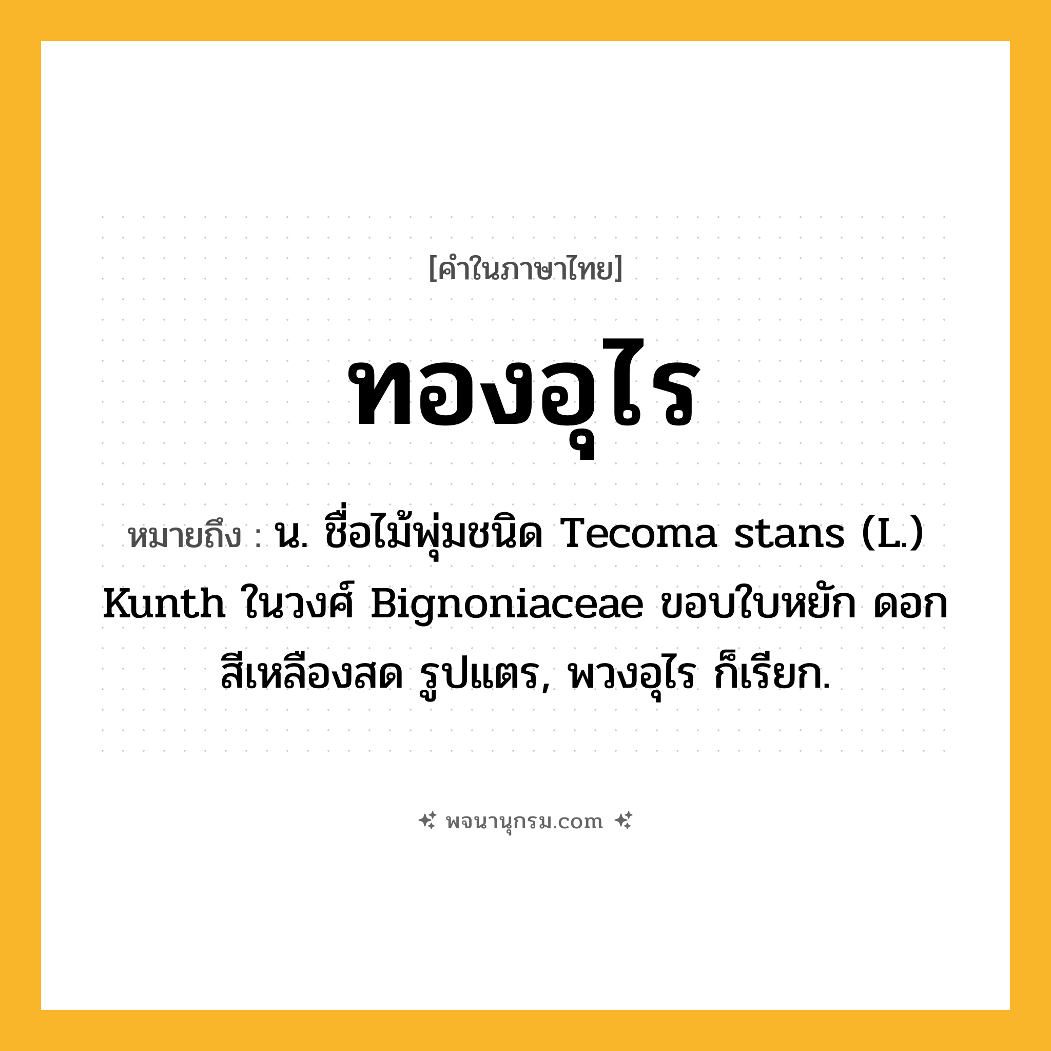 ทองอุไร ความหมาย หมายถึงอะไร?, คำในภาษาไทย ทองอุไร หมายถึง น. ชื่อไม้พุ่มชนิด Tecoma stans (L.) Kunth ในวงศ์ Bignoniaceae ขอบใบหยัก ดอกสีเหลืองสด รูปแตร, พวงอุไร ก็เรียก.