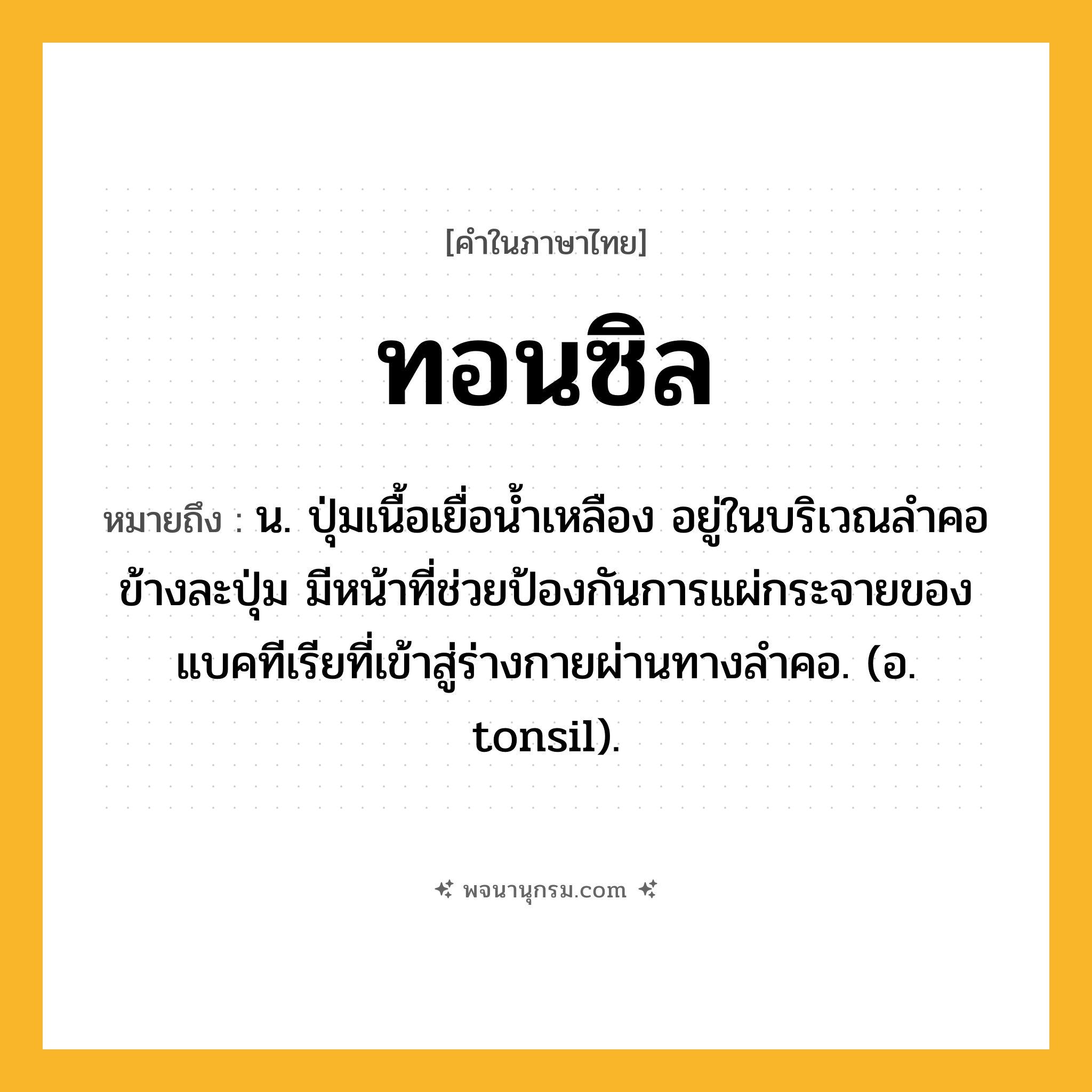ทอนซิล ความหมาย หมายถึงอะไร?, คำในภาษาไทย ทอนซิล หมายถึง น. ปุ่มเนื้อเยื่อนํ้าเหลือง อยู่ในบริเวณลําคอข้างละปุ่ม มีหน้าที่ช่วยป้องกันการแผ่กระจายของแบคทีเรียที่เข้าสู่ร่างกายผ่านทางลําคอ. (อ. tonsil).