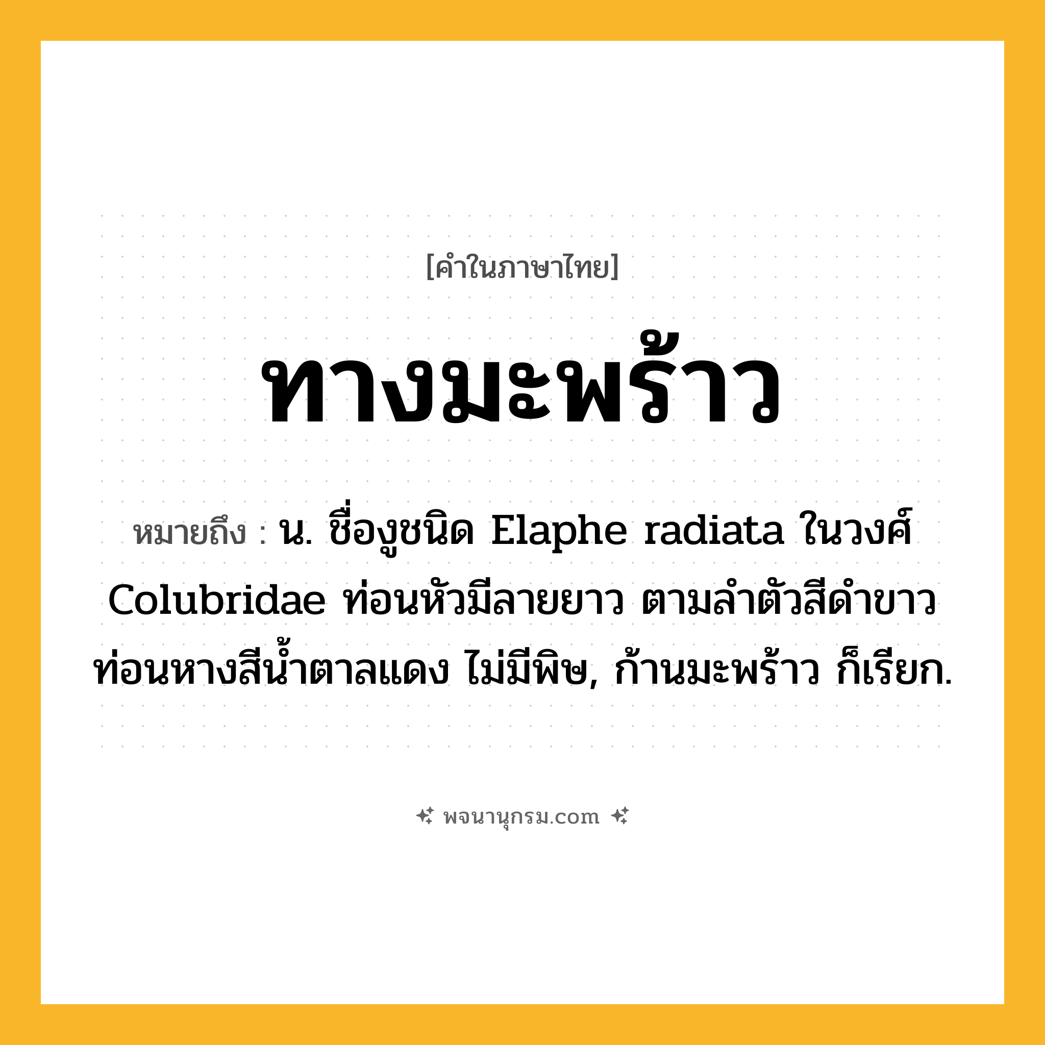 ทางมะพร้าว ความหมาย หมายถึงอะไร?, คำในภาษาไทย ทางมะพร้าว หมายถึง น. ชื่องูชนิด Elaphe radiata ในวงศ์ Colubridae ท่อนหัวมีลายยาว ตามลําตัวสีดําขาว ท่อนหางสีนํ้าตาลแดง ไม่มีพิษ, ก้านมะพร้าว ก็เรียก.