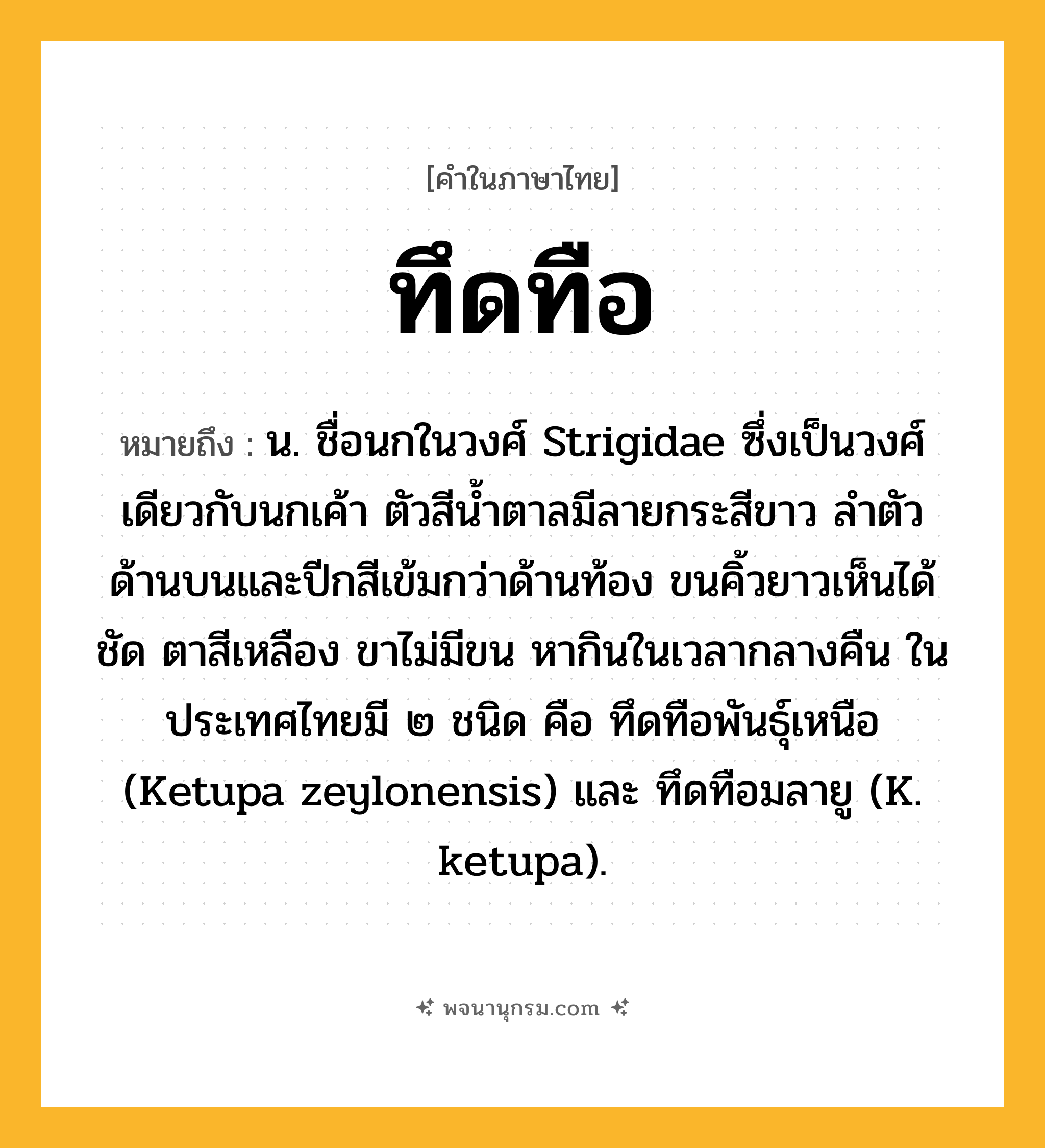 ทึดทือ ความหมาย หมายถึงอะไร?, คำในภาษาไทย ทึดทือ หมายถึง น. ชื่อนกในวงศ์ Strigidae ซึ่งเป็นวงศ์เดียวกับนกเค้า ตัวสีนํ้าตาลมีลายกระสีขาว ลําตัวด้านบนและปีกสีเข้มกว่าด้านท้อง ขนคิ้วยาวเห็นได้ชัด ตาสีเหลือง ขาไม่มีขน หากินในเวลากลางคืน ในประเทศไทยมี ๒ ชนิด คือ ทึดทือพันธุ์เหนือ (Ketupa zeylonensis) และ ทึดทือมลายู (K. ketupa).
