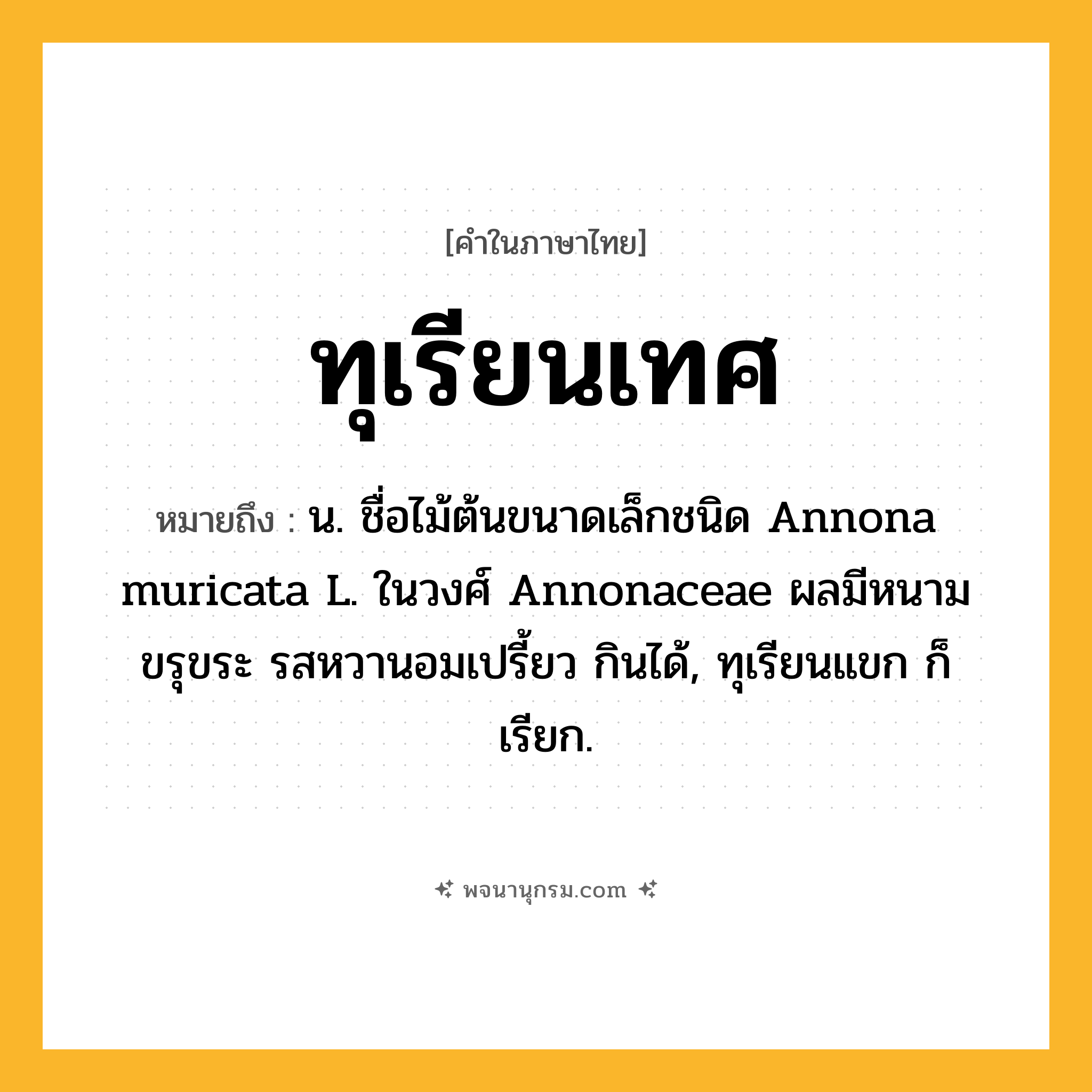 ทุเรียนเทศ ความหมาย หมายถึงอะไร?, คำในภาษาไทย ทุเรียนเทศ หมายถึง น. ชื่อไม้ต้นขนาดเล็กชนิด Annona muricata L. ในวงศ์ Annonaceae ผลมีหนามขรุขระ รสหวานอมเปรี้ยว กินได้, ทุเรียนแขก ก็เรียก.