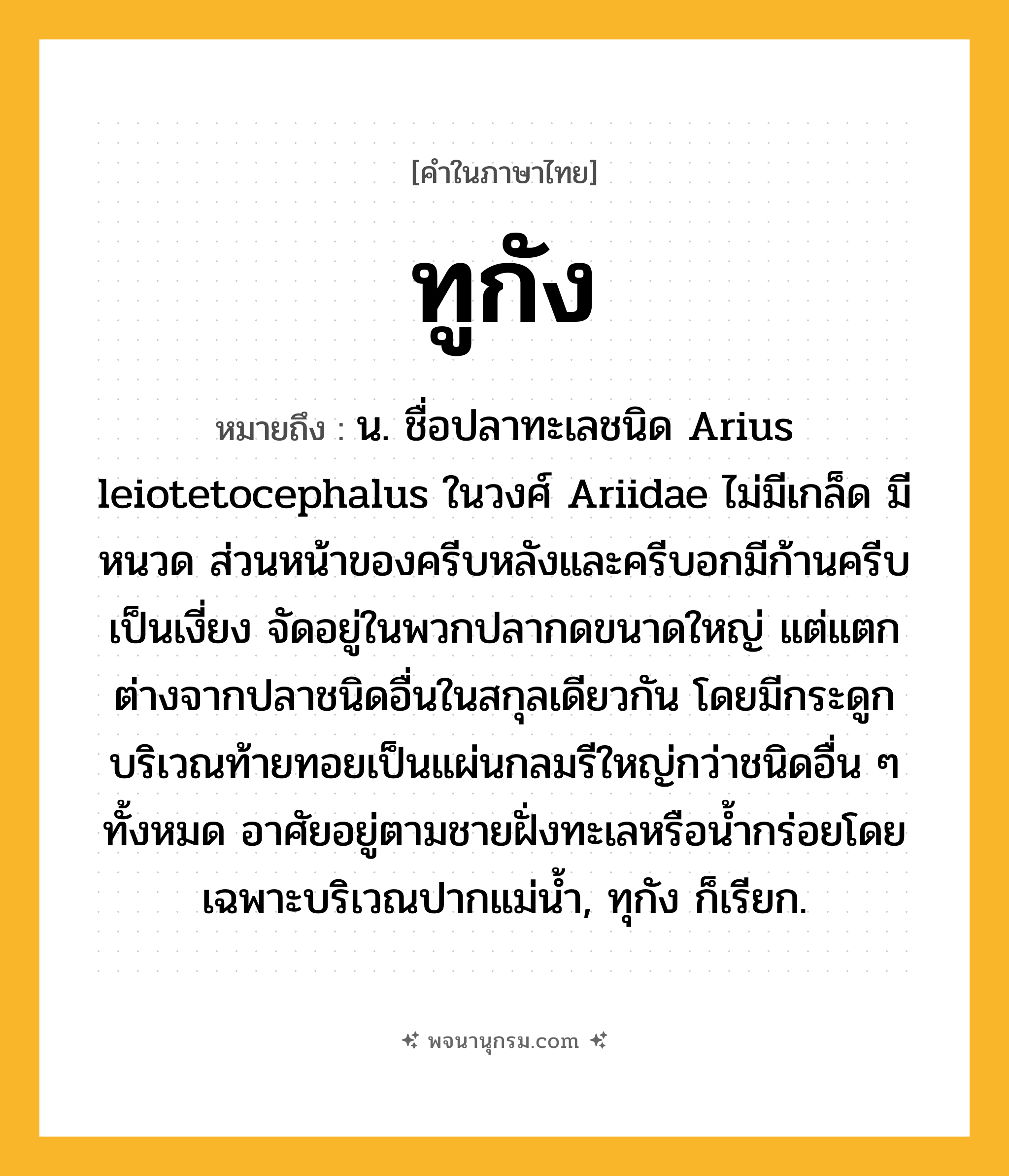 ทูกัง ความหมาย หมายถึงอะไร?, คำในภาษาไทย ทูกัง หมายถึง น. ชื่อปลาทะเลชนิด Arius leiotetocephalus ในวงศ์ Ariidae ไม่มีเกล็ด มีหนวด ส่วนหน้าของครีบหลังและครีบอกมีก้านครีบเป็นเงี่ยง จัดอยู่ในพวกปลากดขนาดใหญ่ แต่แตกต่างจากปลาชนิดอื่นในสกุลเดียวกัน โดยมีกระดูกบริเวณท้ายทอยเป็นแผ่นกลมรีใหญ่กว่าชนิดอื่น ๆ ทั้งหมด อาศัยอยู่ตามชายฝั่งทะเลหรือนํ้ากร่อยโดยเฉพาะบริเวณปากแม่นํ้า, ทุกัง ก็เรียก.