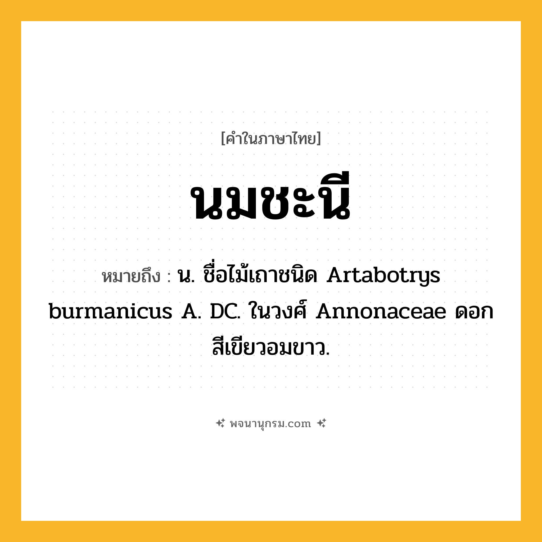 นมชะนี ความหมาย หมายถึงอะไร?, คำในภาษาไทย นมชะนี หมายถึง น. ชื่อไม้เถาชนิด Artabotrys burmanicus A. DC. ในวงศ์ Annonaceae ดอกสีเขียวอมขาว.