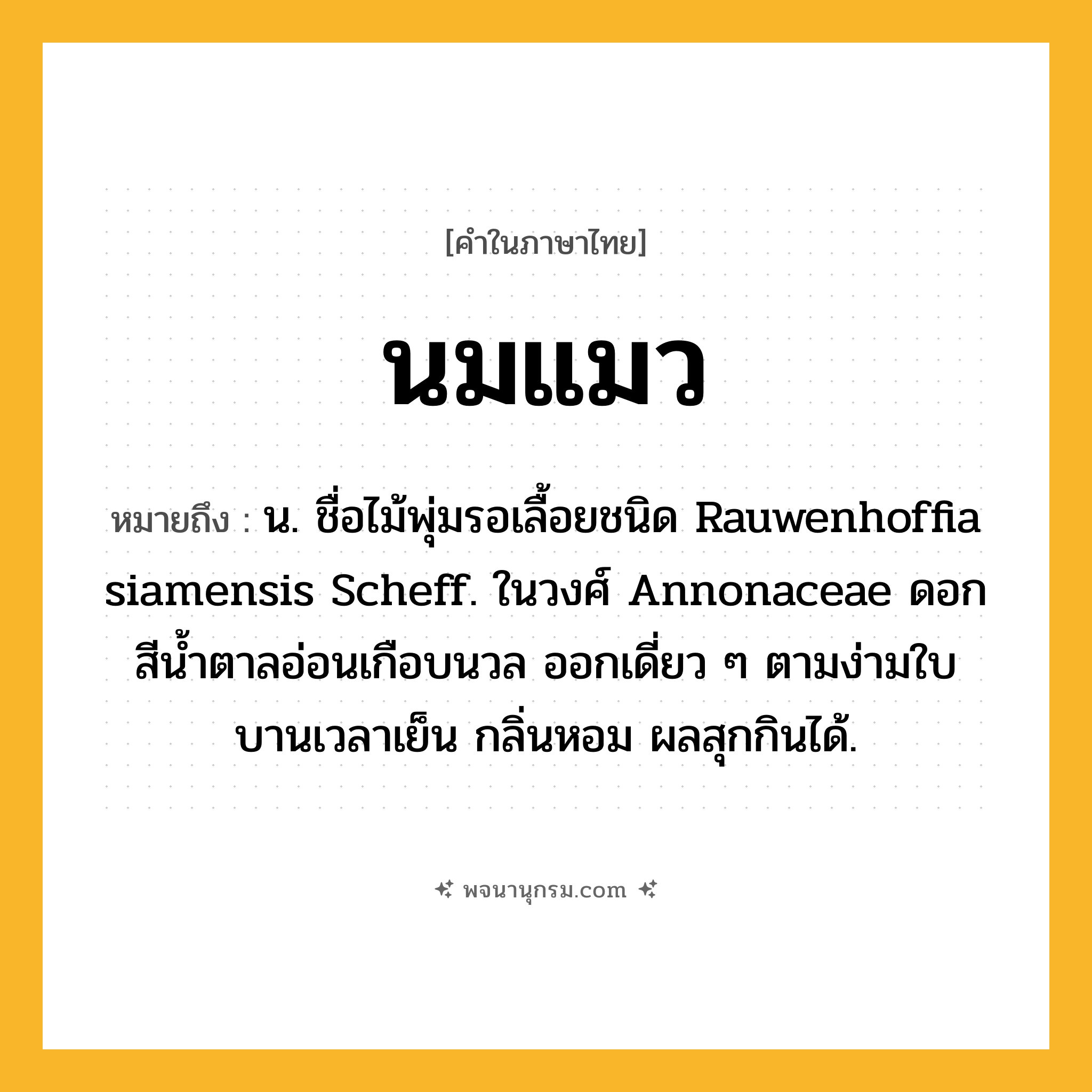 นมแมว ความหมาย หมายถึงอะไร?, คำในภาษาไทย นมแมว หมายถึง น. ชื่อไม้พุ่มรอเลื้อยชนิด Rauwenhoffia siamensis Scheff. ในวงศ์ Annonaceae ดอกสีนํ้าตาลอ่อนเกือบนวล ออกเดี่ยว ๆ ตามง่ามใบ บานเวลาเย็น กลิ่นหอม ผลสุกกินได้.