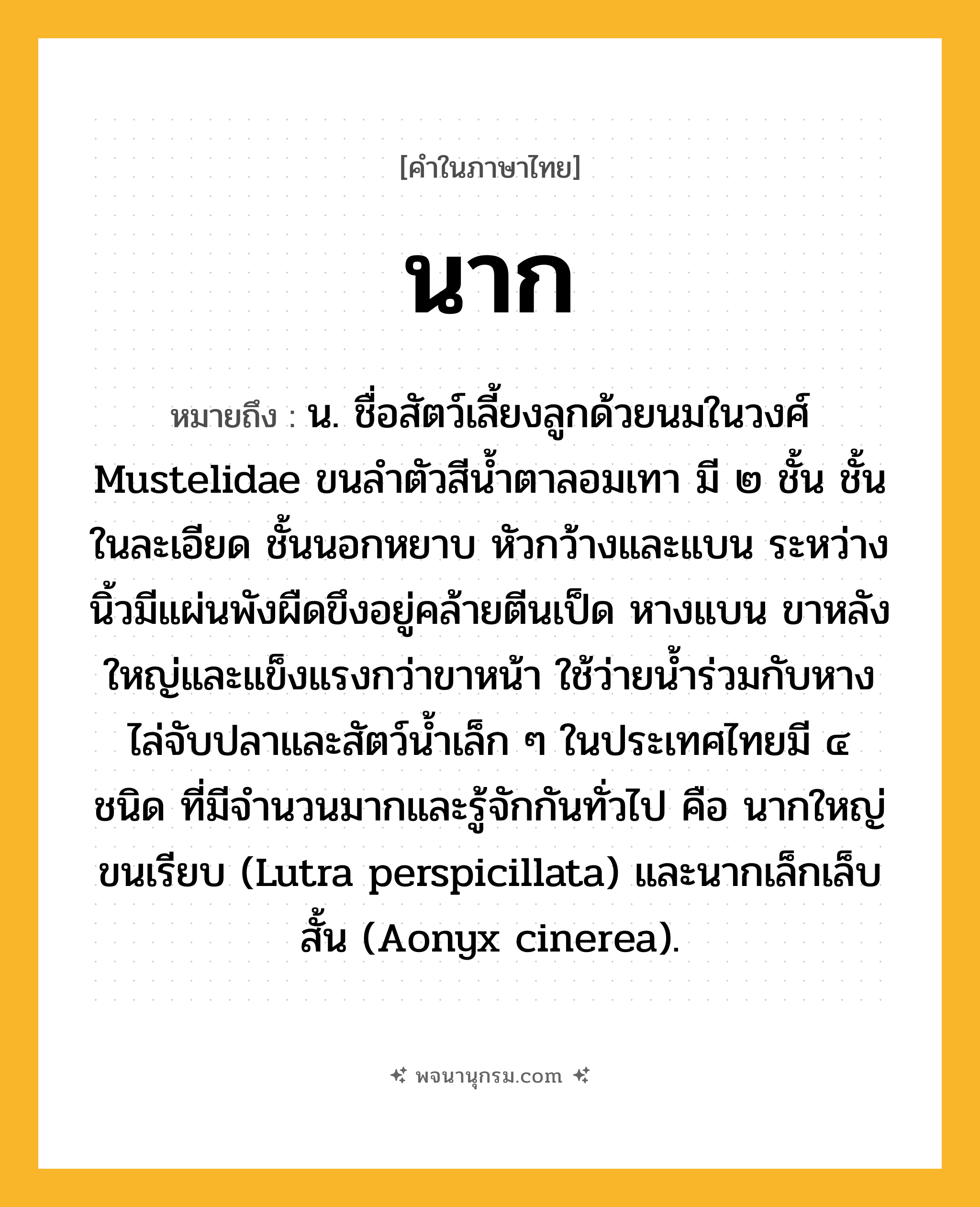 นาก ความหมาย หมายถึงอะไร?, คำในภาษาไทย นาก หมายถึง น. ชื่อสัตว์เลี้ยงลูกด้วยนมในวงศ์ Mustelidae ขนลําตัวสีนํ้าตาลอมเทา มี ๒ ชั้น ชั้นในละเอียด ชั้นนอกหยาบ หัวกว้างและแบน ระหว่างนิ้วมีแผ่นพังผืดขึงอยู่คล้ายตีนเป็ด หางแบน ขาหลังใหญ่และแข็งแรงกว่าขาหน้า ใช้ว่ายนํ้าร่วมกับหาง ไล่จับปลาและสัตว์นํ้าเล็ก ๆ ในประเทศไทยมี ๔ ชนิด ที่มีจํานวนมากและรู้จักกันทั่วไป คือ นากใหญ่ขนเรียบ (Lutra perspicillata) และนากเล็กเล็บสั้น (Aonyx cinerea).