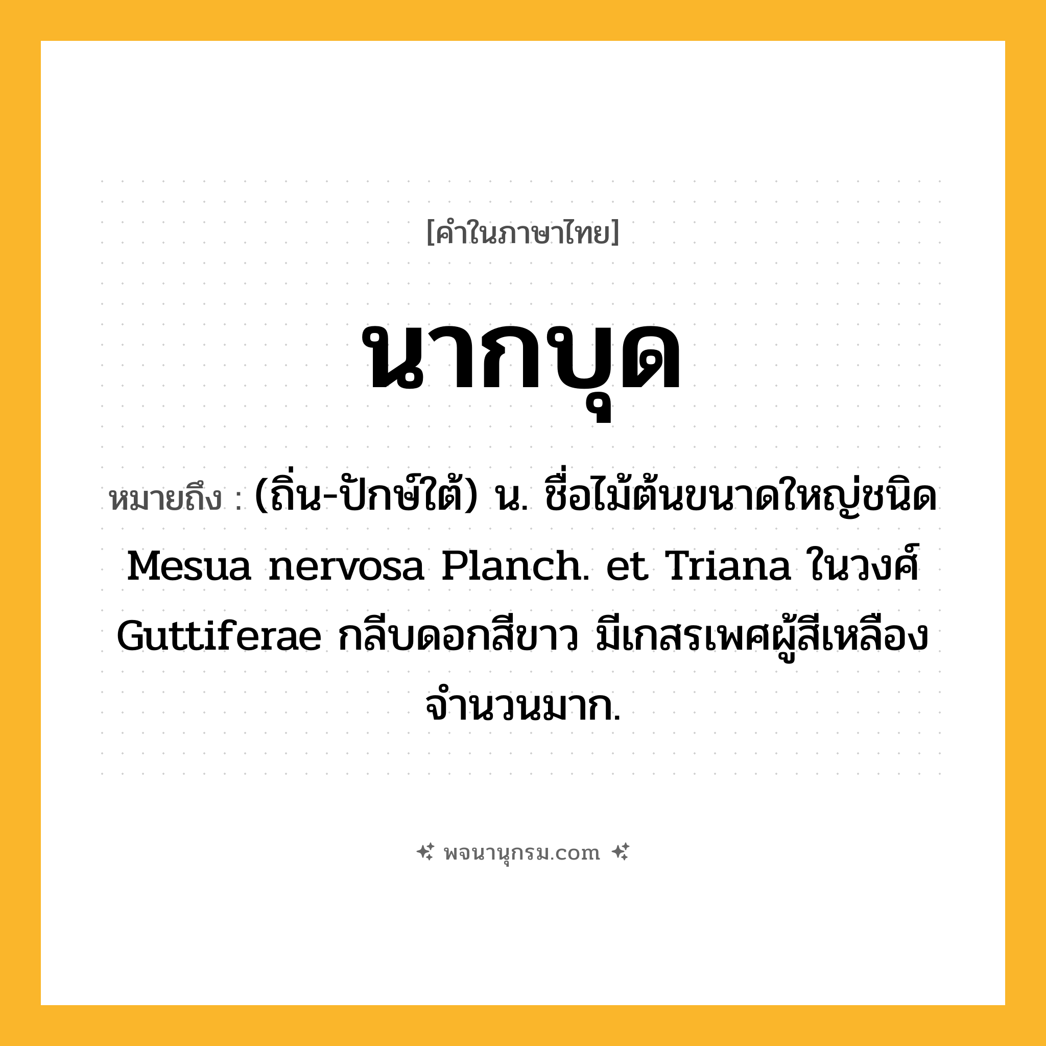 นากบุด ความหมาย หมายถึงอะไร?, คำในภาษาไทย นากบุด หมายถึง (ถิ่น-ปักษ์ใต้) น. ชื่อไม้ต้นขนาดใหญ่ชนิด Mesua nervosa Planch. et Triana ในวงศ์ Guttiferae กลีบดอกสีขาว มีเกสรเพศผู้สีเหลืองจำนวนมาก.