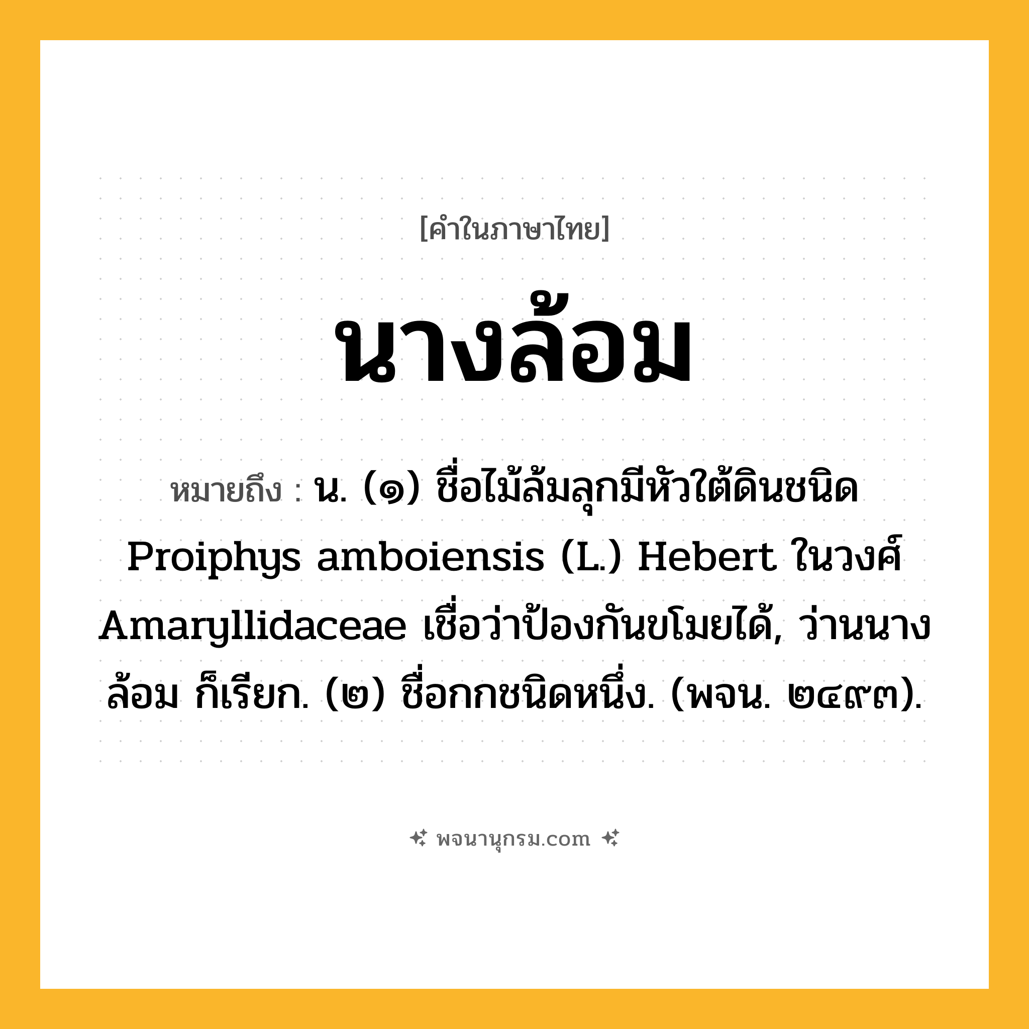 นางล้อม ความหมาย หมายถึงอะไร?, คำในภาษาไทย นางล้อม หมายถึง น. (๑) ชื่อไม้ล้มลุกมีหัวใต้ดินชนิด Proiphys amboiensis (L.) Hebert ในวงศ์ Amaryllidaceae เชื่อว่าป้องกันขโมยได้, ว่านนางล้อม ก็เรียก. (๒) ชื่อกกชนิดหนึ่ง. (พจน. ๒๔๙๓).