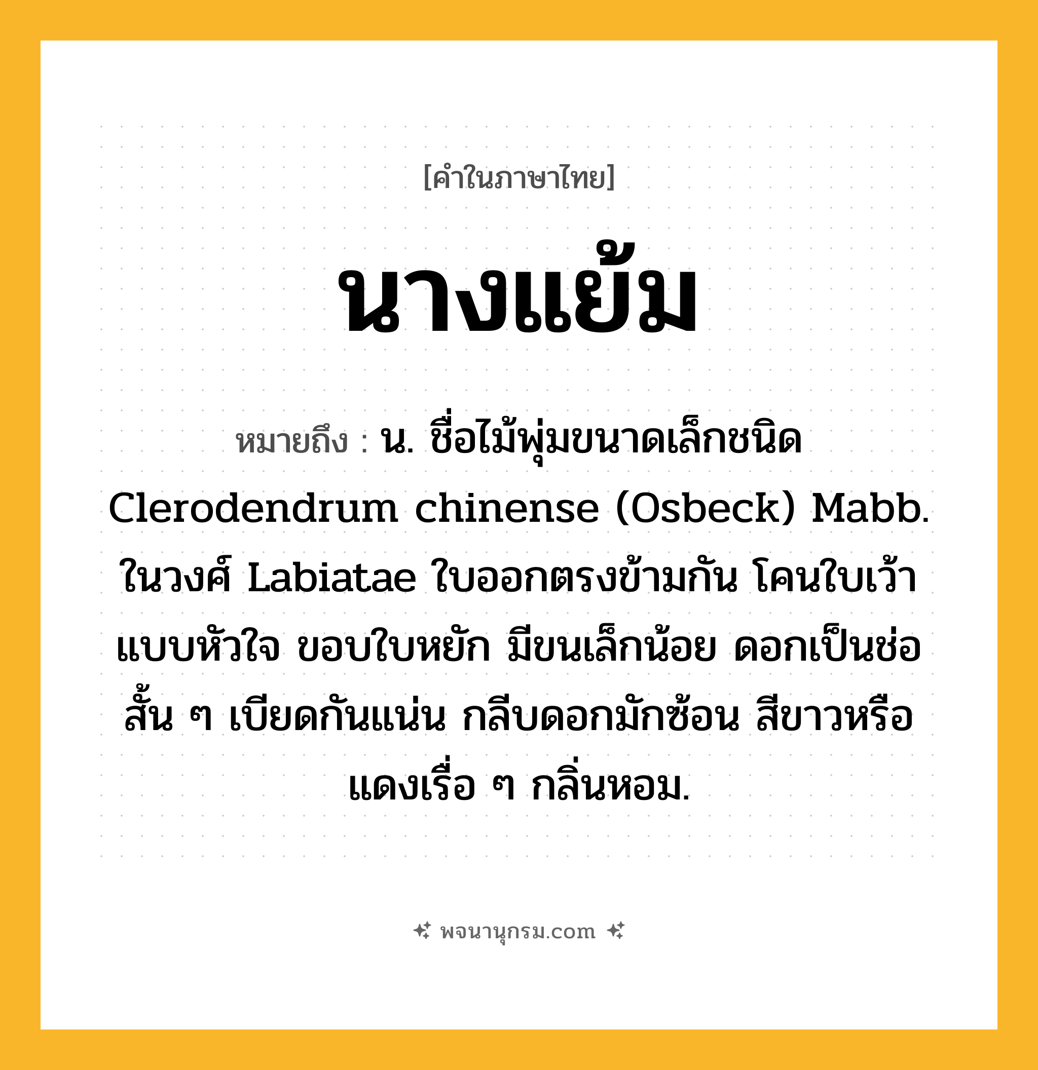 นางแย้ม ความหมาย หมายถึงอะไร?, คำในภาษาไทย นางแย้ม หมายถึง น. ชื่อไม้พุ่มขนาดเล็กชนิด Clerodendrum chinense (Osbeck) Mabb. ในวงศ์ Labiatae ใบออกตรงข้ามกัน โคนใบเว้าแบบหัวใจ ขอบใบหยัก มีขนเล็กน้อย ดอกเป็นช่อสั้น ๆ เบียดกันแน่น กลีบดอกมักซ้อน สีขาวหรือแดงเรื่อ ๆ กลิ่นหอม.