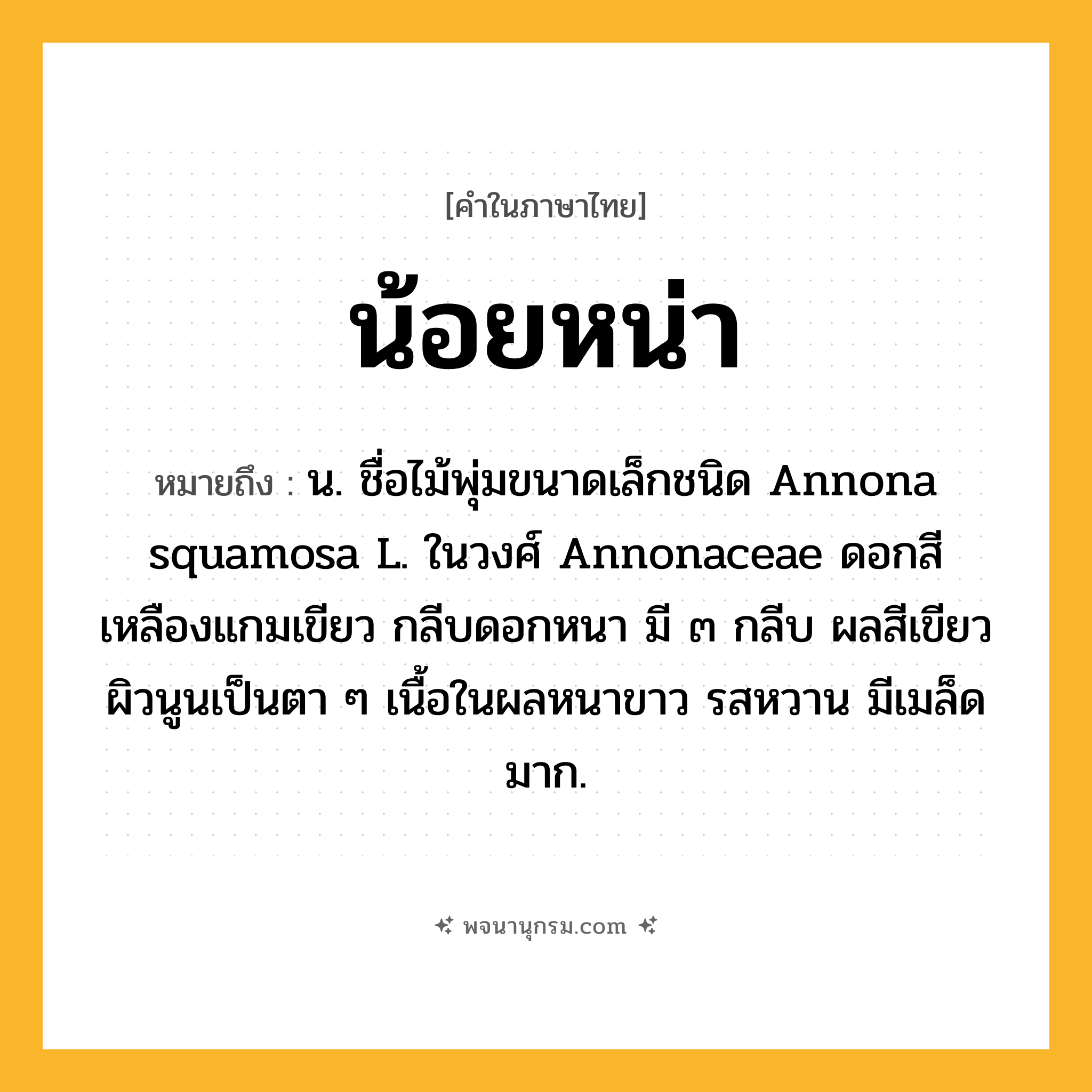น้อยหน่า ความหมาย หมายถึงอะไร?, คำในภาษาไทย น้อยหน่า หมายถึง น. ชื่อไม้พุ่มขนาดเล็กชนิด Annona squamosa L. ในวงศ์ Annonaceae ดอกสีเหลืองแกมเขียว กลีบดอกหนา มี ๓ กลีบ ผลสีเขียว ผิวนูนเป็นตา ๆ เนื้อในผลหนาขาว รสหวาน มีเมล็ดมาก.