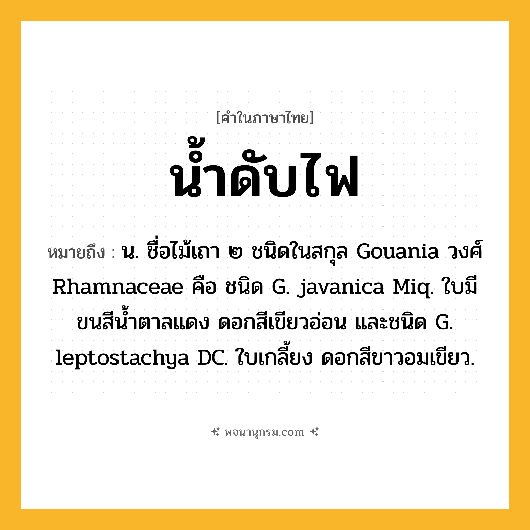 น้ำดับไฟ ความหมาย หมายถึงอะไร?, คำในภาษาไทย น้ำดับไฟ หมายถึง น. ชื่อไม้เถา ๒ ชนิดในสกุล Gouania วงศ์ Rhamnaceae คือ ชนิด G. javanica Miq. ใบมีขนสีน้ำตาลแดง ดอกสีเขียวอ่อน และชนิด G. leptostachya DC. ใบเกลี้ยง ดอกสีขาวอมเขียว.