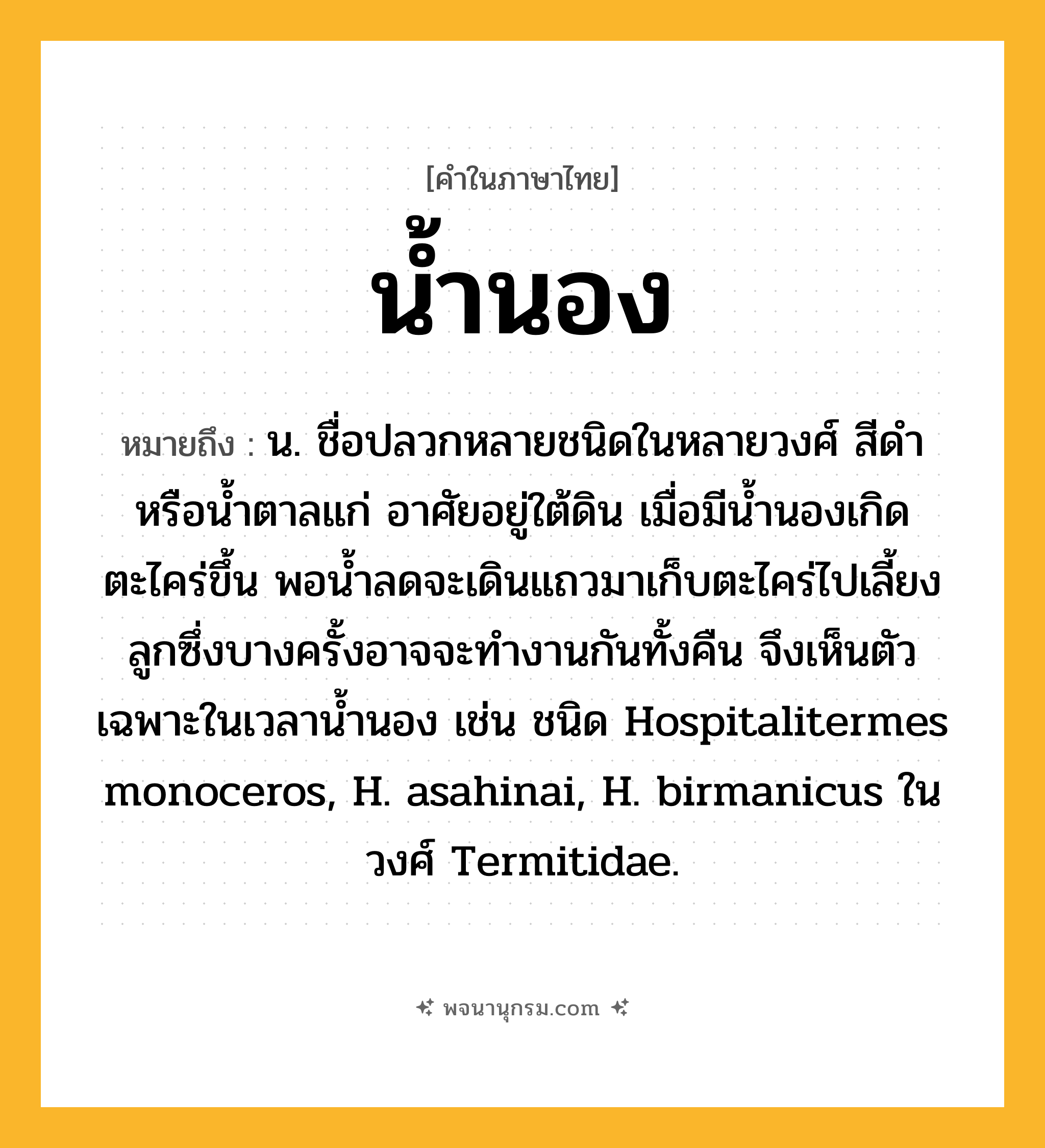 น้ำนอง ความหมาย หมายถึงอะไร?, คำในภาษาไทย น้ำนอง หมายถึง น. ชื่อปลวกหลายชนิดในหลายวงศ์ สีดําหรือนํ้าตาลแก่ อาศัยอยู่ใต้ดิน เมื่อมีนํ้านองเกิดตะไคร่ขึ้น พอนํ้าลดจะเดินแถวมาเก็บตะไคร่ไปเลี้ยงลูกซึ่งบางครั้งอาจจะทํางานกันทั้งคืน จึงเห็นตัวเฉพาะในเวลานํ้านอง เช่น ชนิด Hospitalitermes monoceros, H. asahinai, H. birmanicus ในวงศ์ Termitidae.