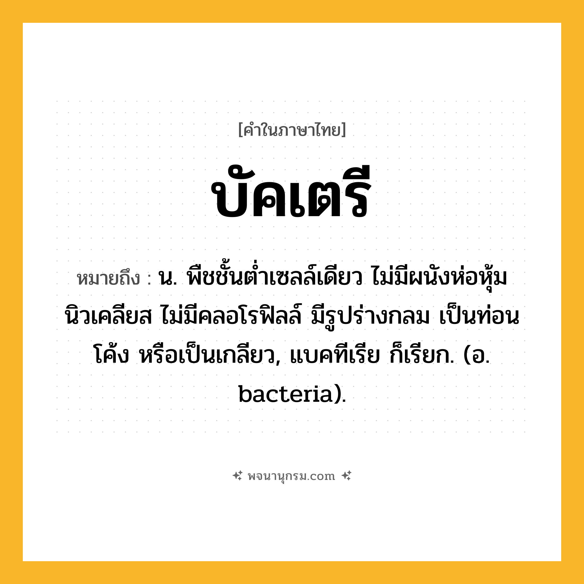 บัคเตรี ความหมาย หมายถึงอะไร?, คำในภาษาไทย บัคเตรี หมายถึง น. พืชชั้นตํ่าเซลล์เดียว ไม่มีผนังห่อหุ้มนิวเคลียส ไม่มีคลอโรฟิลล์ มีรูปร่างกลม เป็นท่อน โค้ง หรือเป็นเกลียว, แบคทีเรีย ก็เรียก. (อ. bacteria).