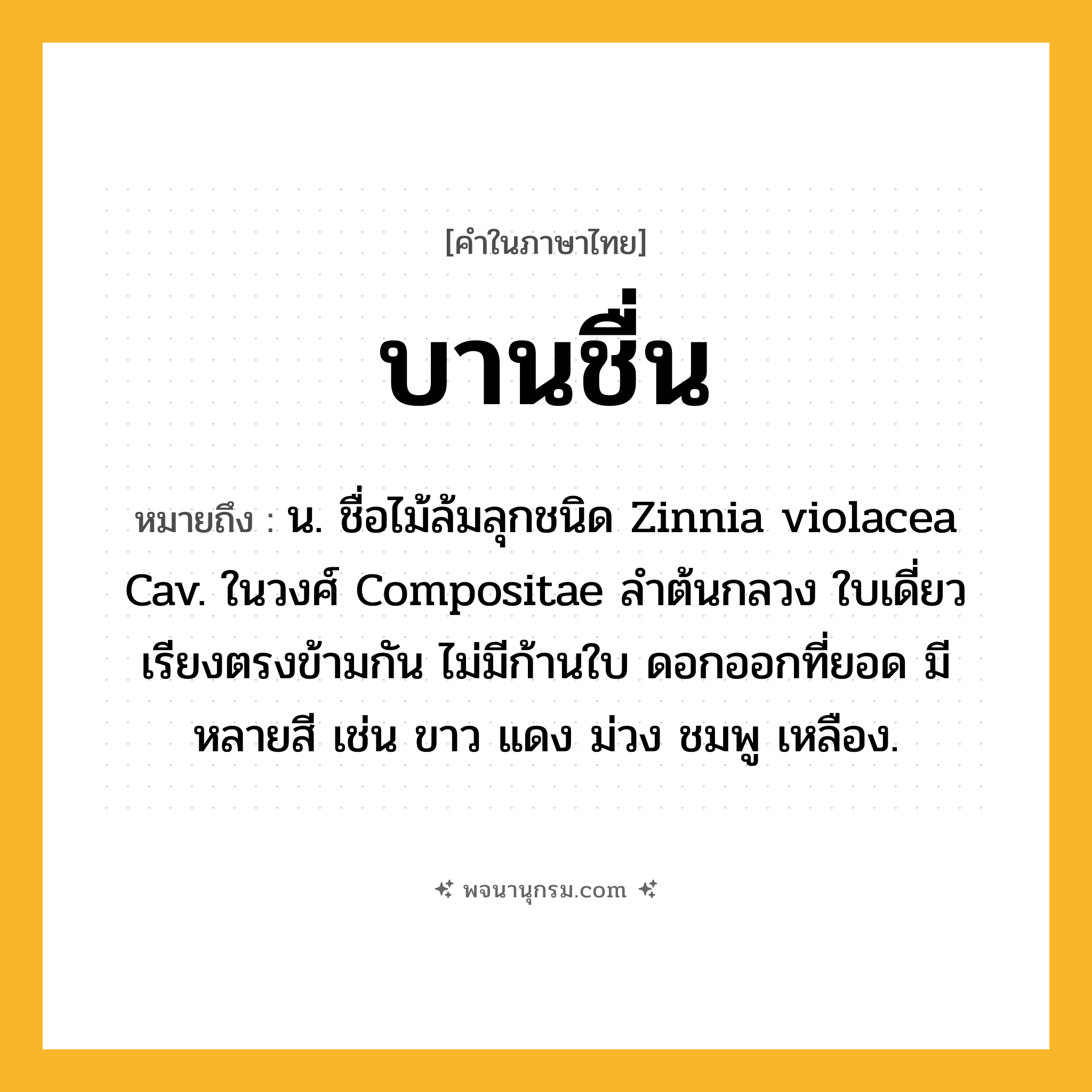 บานชื่น ความหมาย หมายถึงอะไร?, คำในภาษาไทย บานชื่น หมายถึง น. ชื่อไม้ล้มลุกชนิด Zinnia violacea Cav. ในวงศ์ Compositae ลําต้นกลวง ใบเดี่ยว เรียงตรงข้ามกัน ไม่มีก้านใบ ดอกออกที่ยอด มีหลายสี เช่น ขาว แดง ม่วง ชมพู เหลือง.