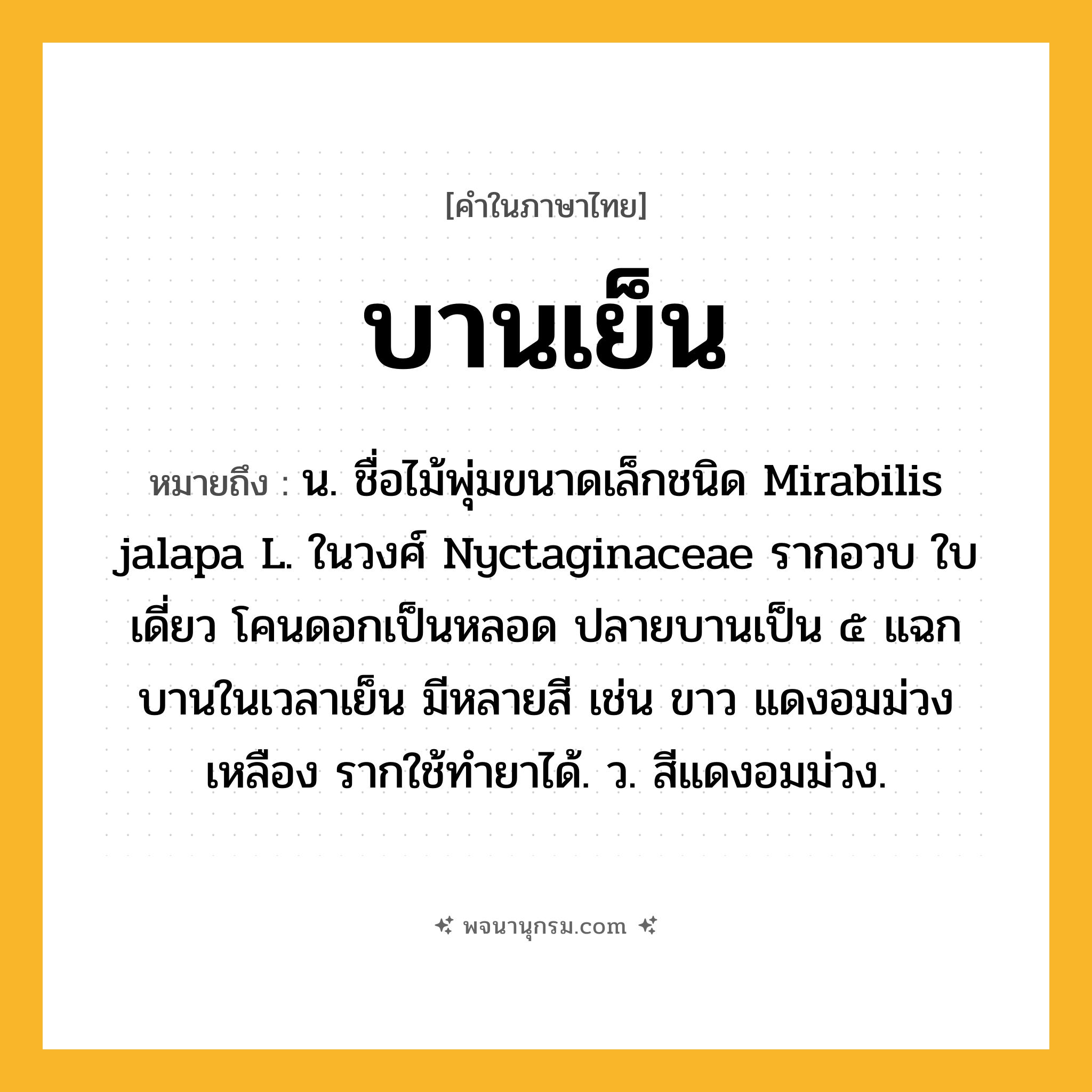 บานเย็น ความหมาย หมายถึงอะไร?, คำในภาษาไทย บานเย็น หมายถึง น. ชื่อไม้พุ่มขนาดเล็กชนิด Mirabilis jalapa L. ในวงศ์ Nyctaginaceae รากอวบ ใบเดี่ยว โคนดอกเป็นหลอด ปลายบานเป็น ๕ แฉก บานในเวลาเย็น มีหลายสี เช่น ขาว แดงอมม่วง เหลือง รากใช้ทํายาได้. ว. สีแดงอมม่วง.