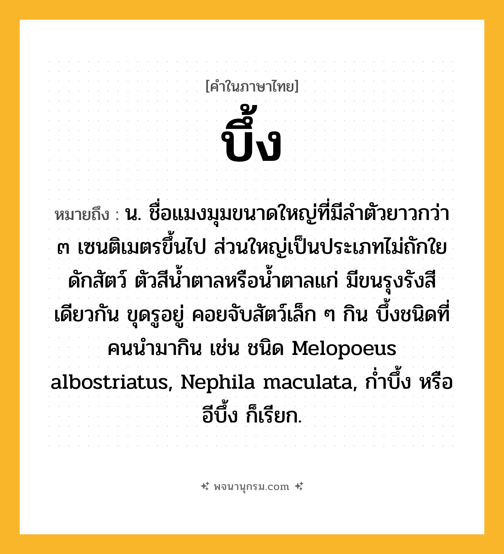 บึ้ง ความหมาย หมายถึงอะไร?, คำในภาษาไทย บึ้ง หมายถึง น. ชื่อแมงมุมขนาดใหญ่ที่มีลําตัวยาวกว่า ๓ เซนติเมตรขึ้นไป ส่วนใหญ่เป็นประเภทไม่ถักใยดักสัตว์ ตัวสีนํ้าตาลหรือนํ้าตาลแก่ มีขนรุงรังสีเดียวกัน ขุดรูอยู่ คอยจับสัตว์เล็ก ๆ กิน บึ้งชนิดที่คนนํามากิน เช่น ชนิด Melopoeus albostriatus, Nephila maculata, กํ่าบึ้ง หรือ อีบึ้ง ก็เรียก.