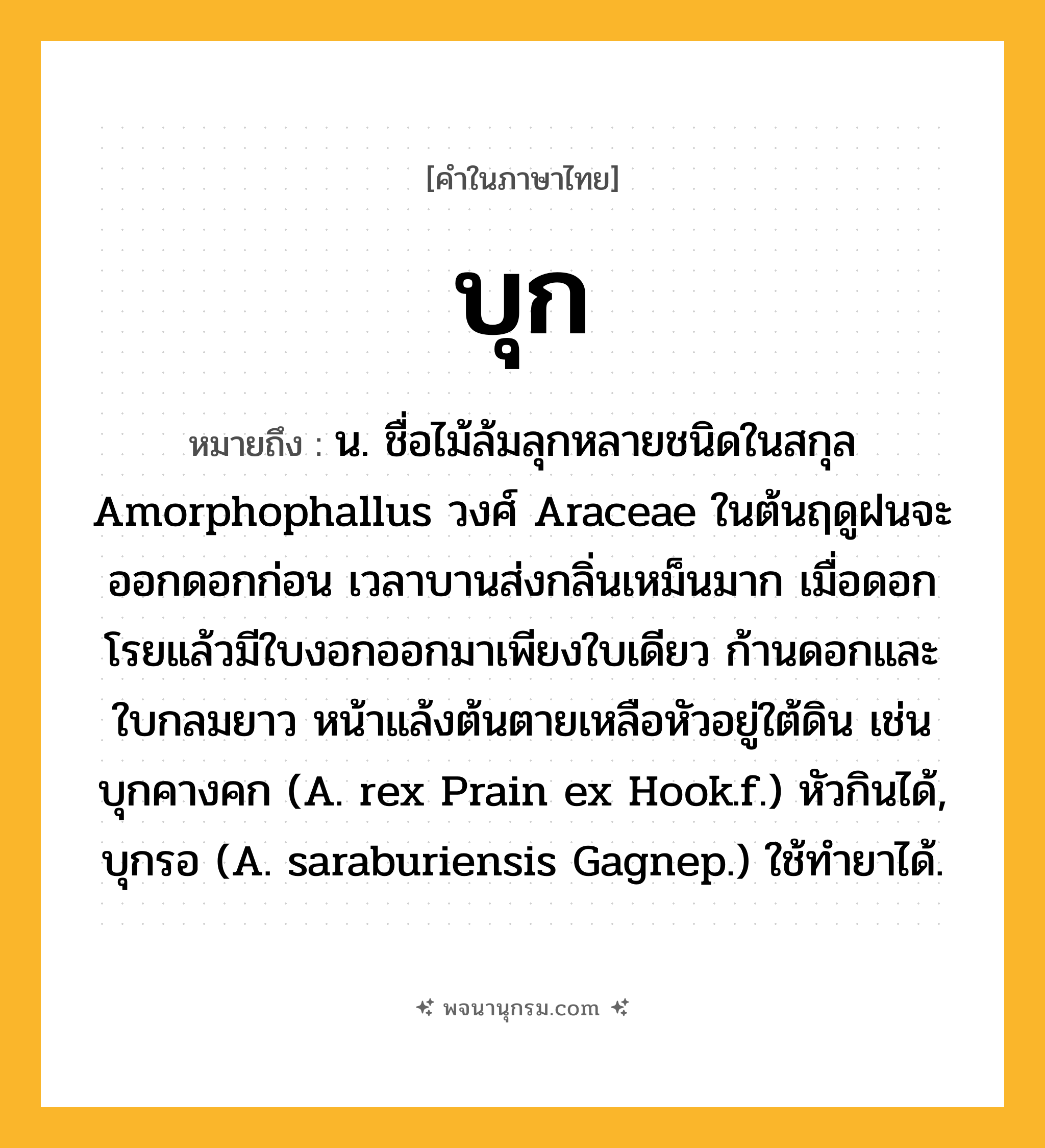 บุก ความหมาย หมายถึงอะไร?, คำในภาษาไทย บุก หมายถึง น. ชื่อไม้ล้มลุกหลายชนิดในสกุล Amorphophallus วงศ์ Araceae ในต้นฤดูฝนจะออกดอกก่อน เวลาบานส่งกลิ่นเหม็นมาก เมื่อดอกโรยแล้วมีใบงอกออกมาเพียงใบเดียว ก้านดอกและใบกลมยาว หน้าแล้งต้นตายเหลือหัวอยู่ใต้ดิน เช่น บุกคางคก (A. rex Prain ex Hook.f.) หัวกินได้, บุกรอ (A. saraburiensis Gagnep.) ใช้ทํายาได้.