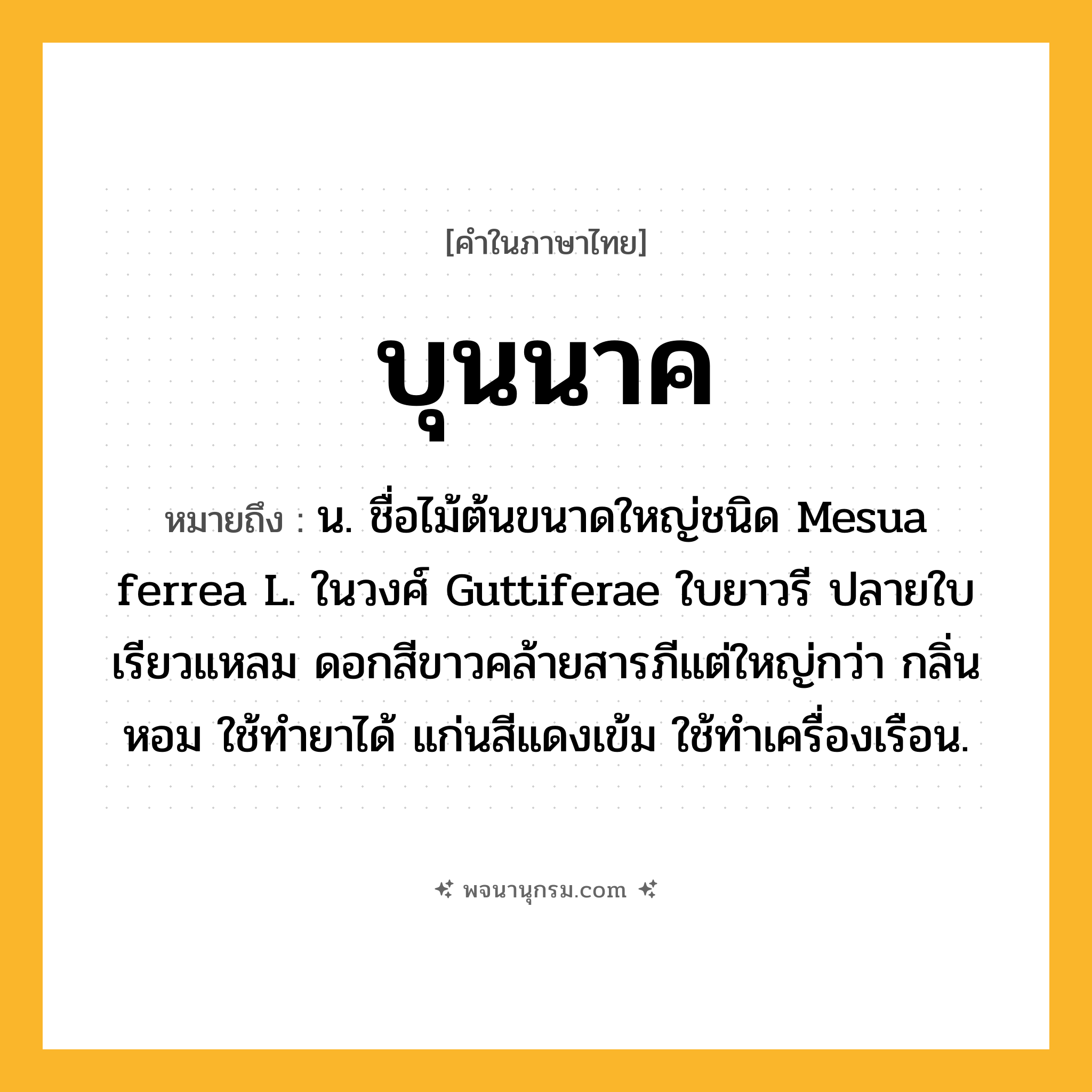 บุนนาค ความหมาย หมายถึงอะไร?, คำในภาษาไทย บุนนาค หมายถึง น. ชื่อไม้ต้นขนาดใหญ่ชนิด Mesua ferrea L. ในวงศ์ Guttiferae ใบยาวรี ปลายใบเรียวแหลม ดอกสีขาวคล้ายสารภีแต่ใหญ่กว่า กลิ่นหอม ใช้ทํายาได้ แก่นสีแดงเข้ม ใช้ทําเครื่องเรือน.