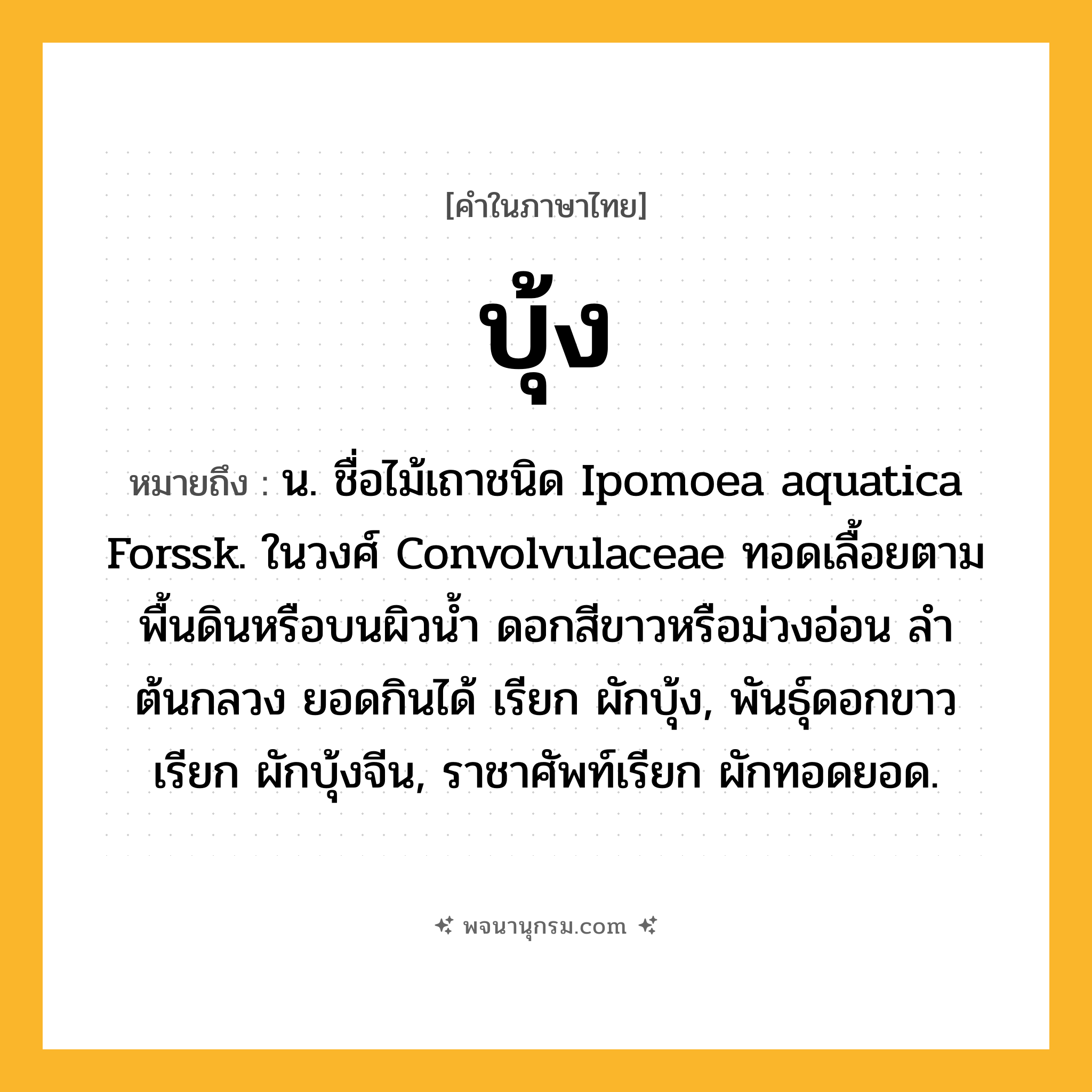 บุ้ง ความหมาย หมายถึงอะไร?, คำในภาษาไทย บุ้ง หมายถึง น. ชื่อไม้เถาชนิด Ipomoea aquatica Forssk. ในวงศ์ Convolvulaceae ทอดเลื้อยตามพื้นดินหรือบนผิวนํ้า ดอกสีขาวหรือม่วงอ่อน ลําต้นกลวง ยอดกินได้ เรียก ผักบุ้ง, พันธุ์ดอกขาวเรียก ผักบุ้งจีน, ราชาศัพท์เรียก ผักทอดยอด.