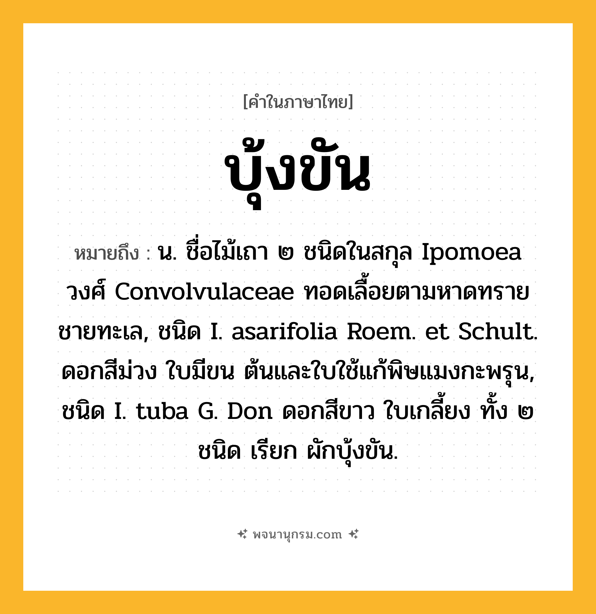 บุ้งขัน ความหมาย หมายถึงอะไร?, คำในภาษาไทย บุ้งขัน หมายถึง น. ชื่อไม้เถา ๒ ชนิดในสกุล Ipomoea วงศ์ Convolvulaceae ทอดเลื้อยตามหาดทรายชายทะเล, ชนิด I. asarifolia Roem. et Schult. ดอกสีม่วง ใบมีขน ต้นและใบใช้แก้พิษแมงกะพรุน, ชนิด I. tuba G. Don ดอกสีขาว ใบเกลี้ยง ทั้ง ๒ ชนิด เรียก ผักบุ้งขัน.