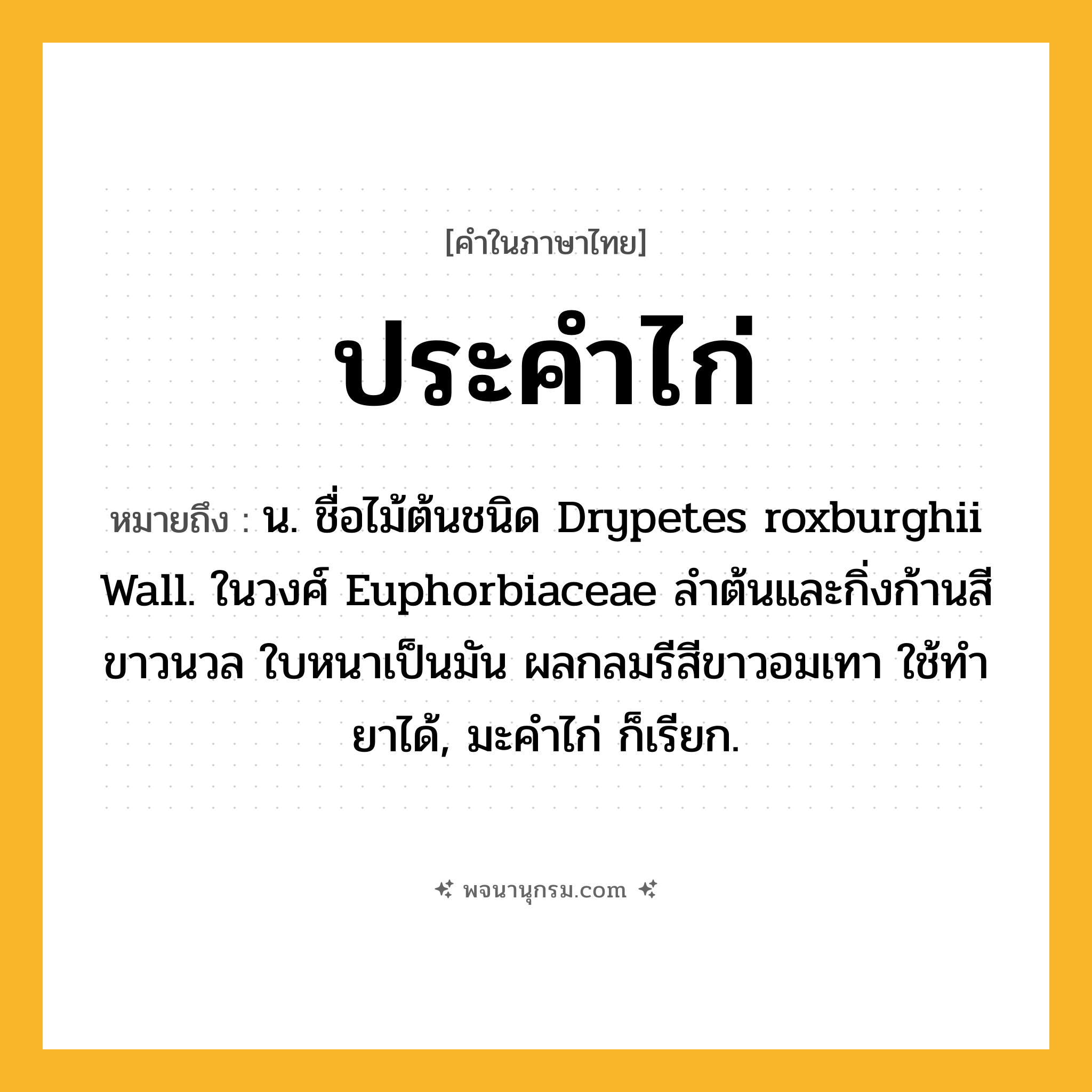 ประคำไก่ ความหมาย หมายถึงอะไร?, คำในภาษาไทย ประคำไก่ หมายถึง น. ชื่อไม้ต้นชนิด Drypetes roxburghii Wall. ในวงศ์ Euphorbiaceae ลําต้นและกิ่งก้านสีขาวนวล ใบหนาเป็นมัน ผลกลมรีสีขาวอมเทา ใช้ทํายาได้, มะคําไก่ ก็เรียก.