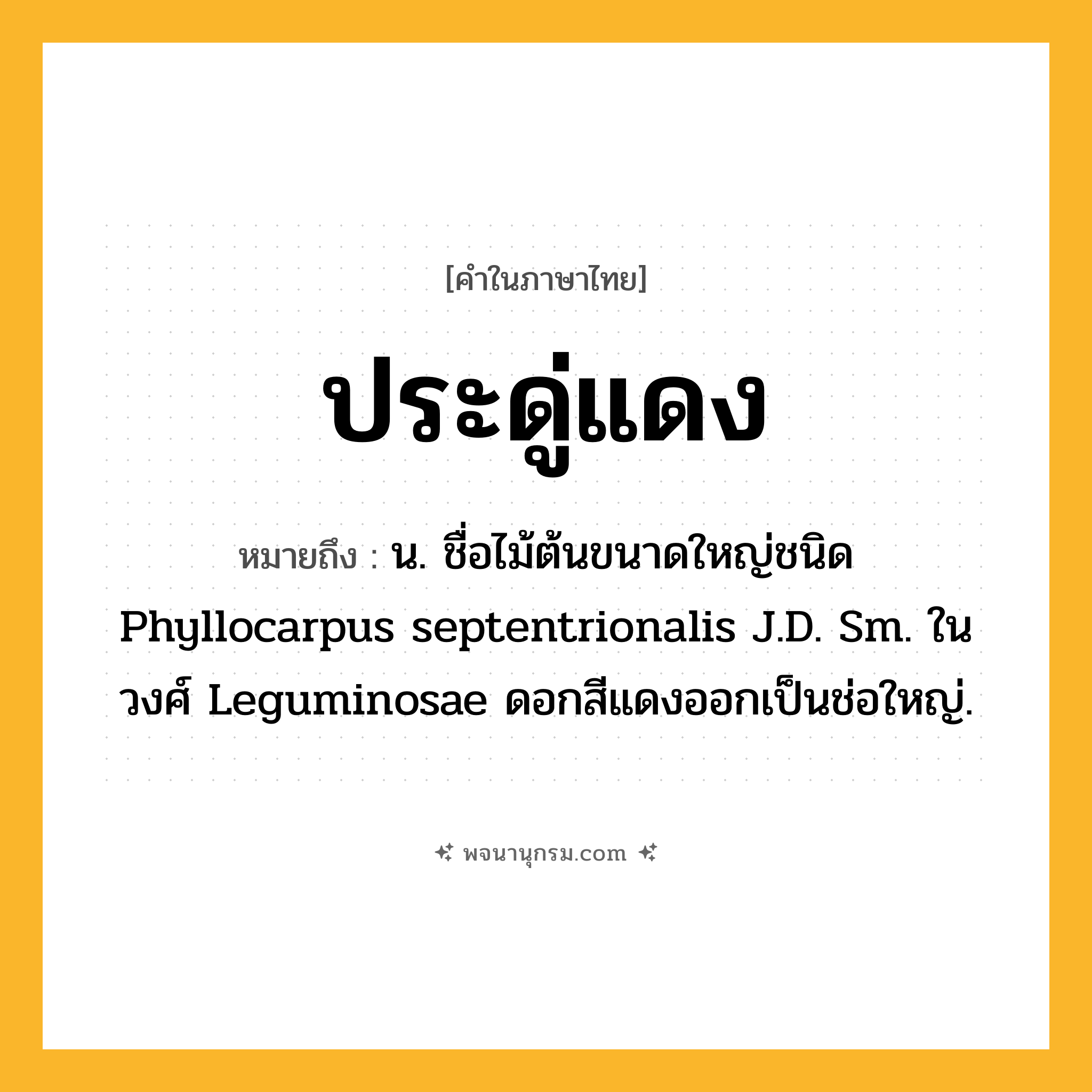 ประดู่แดง ความหมาย หมายถึงอะไร?, คำในภาษาไทย ประดู่แดง หมายถึง น. ชื่อไม้ต้นขนาดใหญ่ชนิด Phyllocarpus septentrionalis J.D. Sm. ในวงศ์ Leguminosae ดอกสีแดงออกเป็นช่อใหญ่.
