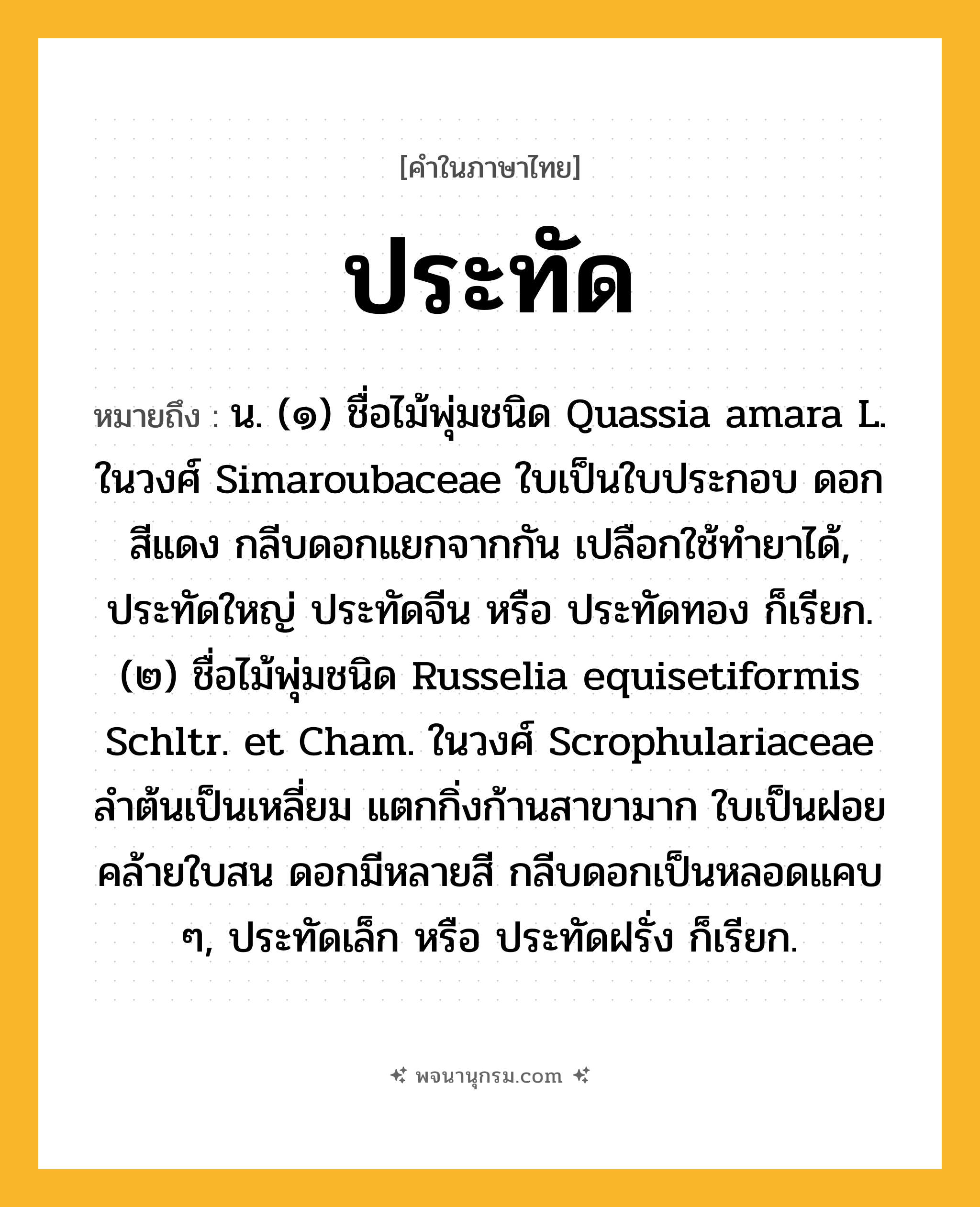 ประทัด ความหมาย หมายถึงอะไร?, คำในภาษาไทย ประทัด หมายถึง น. (๑) ชื่อไม้พุ่มชนิด Quassia amara L. ในวงศ์ Simaroubaceae ใบเป็นใบประกอบ ดอกสีแดง กลีบดอกแยกจากกัน เปลือกใช้ทํายาได้, ประทัดใหญ่ ประทัดจีน หรือ ประทัดทอง ก็เรียก. (๒) ชื่อไม้พุ่มชนิด Russelia equisetiformis Schltr. et Cham. ในวงศ์ Scrophulariaceae ลําต้นเป็นเหลี่ยม แตกกิ่งก้านสาขามาก ใบเป็นฝอยคล้ายใบสน ดอกมีหลายสี กลีบดอกเป็นหลอดแคบ ๆ, ประทัดเล็ก หรือ ประทัดฝรั่ง ก็เรียก.