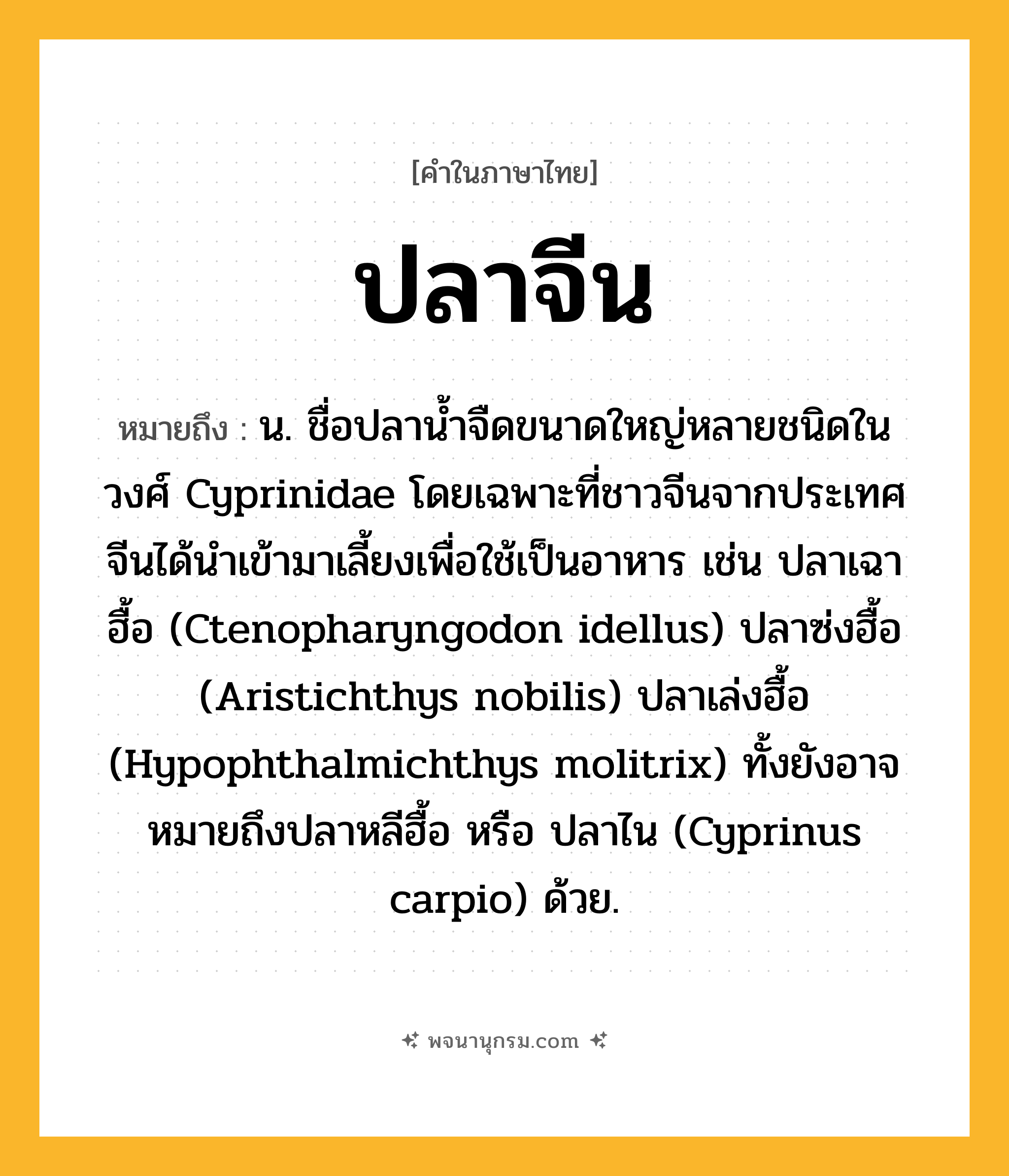 ปลาจีน ความหมาย หมายถึงอะไร?, คำในภาษาไทย ปลาจีน หมายถึง น. ชื่อปลานํ้าจืดขนาดใหญ่หลายชนิดในวงศ์ Cyprinidae โดยเฉพาะที่ชาวจีนจากประเทศจีนได้นําเข้ามาเลี้ยงเพื่อใช้เป็นอาหาร เช่น ปลาเฉาฮื้อ (Ctenopharyngodon idellus) ปลาซ่งฮื้อ (Aristichthys nobilis) ปลาเล่งฮื้อ (Hypophthalmichthys molitrix) ทั้งยังอาจหมายถึงปลาหลีฮื้อ หรือ ปลาไน (Cyprinus carpio) ด้วย.