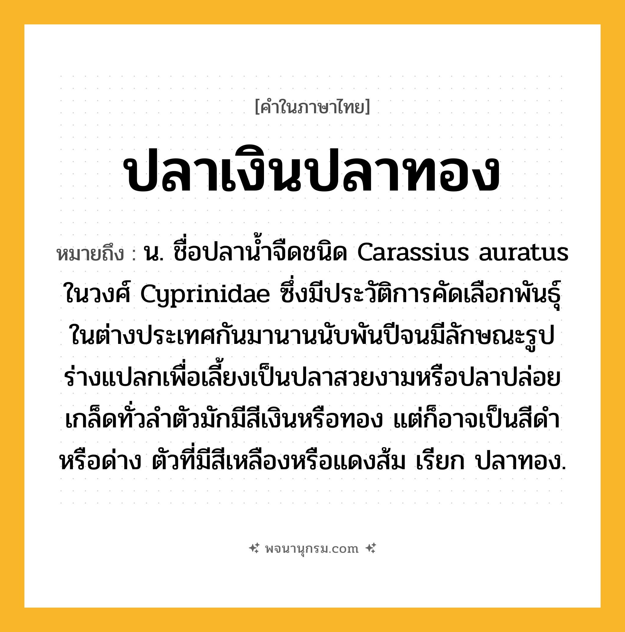 ปลาเงินปลาทอง ความหมาย หมายถึงอะไร?, คำในภาษาไทย ปลาเงินปลาทอง หมายถึง น. ชื่อปลานํ้าจืดชนิด Carassius auratus ในวงศ์ Cyprinidae ซึ่งมีประวัติการคัดเลือกพันธุ์ในต่างประเทศกันมานานนับพันปีจนมีลักษณะรูปร่างแปลกเพื่อเลี้ยงเป็นปลาสวยงามหรือปลาปล่อย เกล็ดทั่วลําตัวมักมีสีเงินหรือทอง แต่ก็อาจเป็นสีดําหรือด่าง ตัวที่มีสีเหลืองหรือแดงส้ม เรียก ปลาทอง.