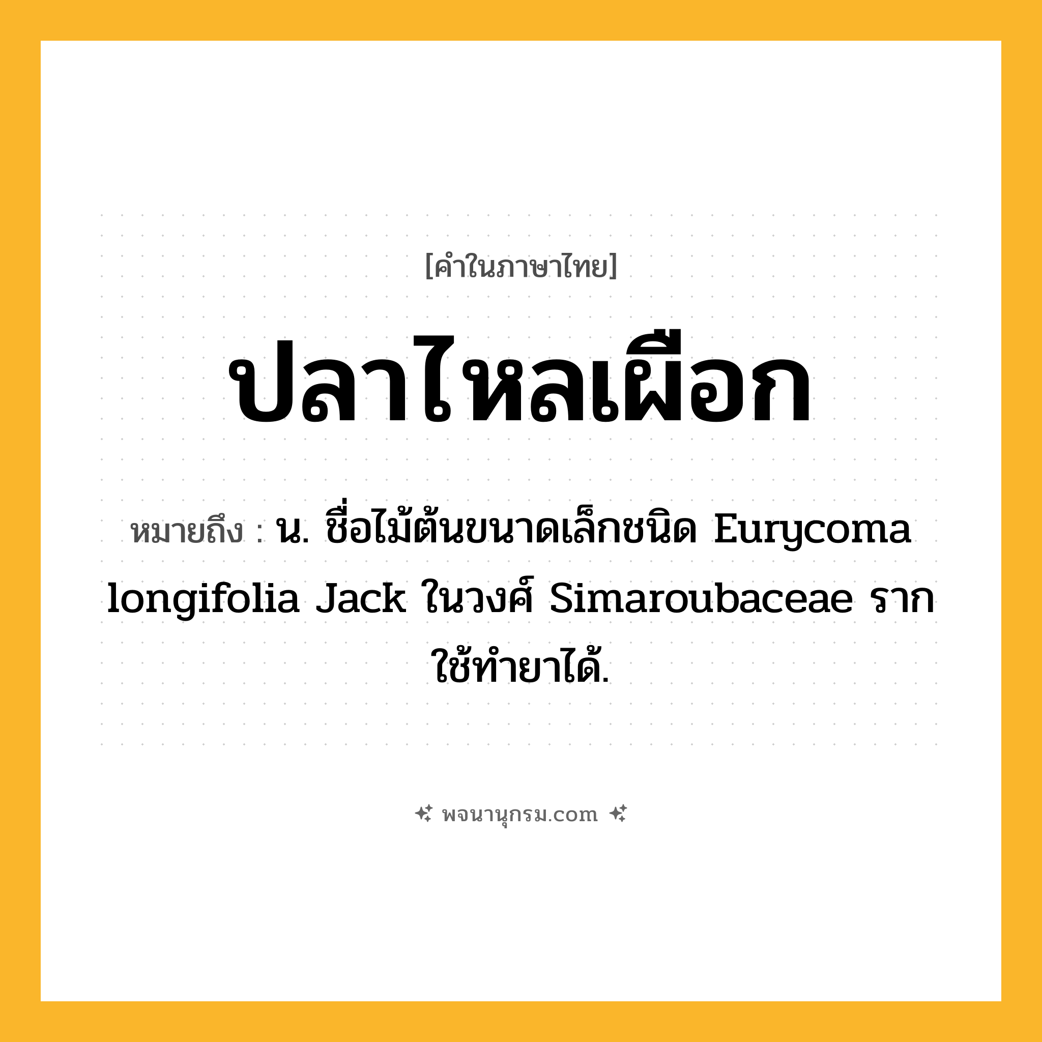 ปลาไหลเผือก ความหมาย หมายถึงอะไร?, คำในภาษาไทย ปลาไหลเผือก หมายถึง น. ชื่อไม้ต้นขนาดเล็กชนิด Eurycoma longifolia Jack ในวงศ์ Simaroubaceae รากใช้ทํายาได้.
