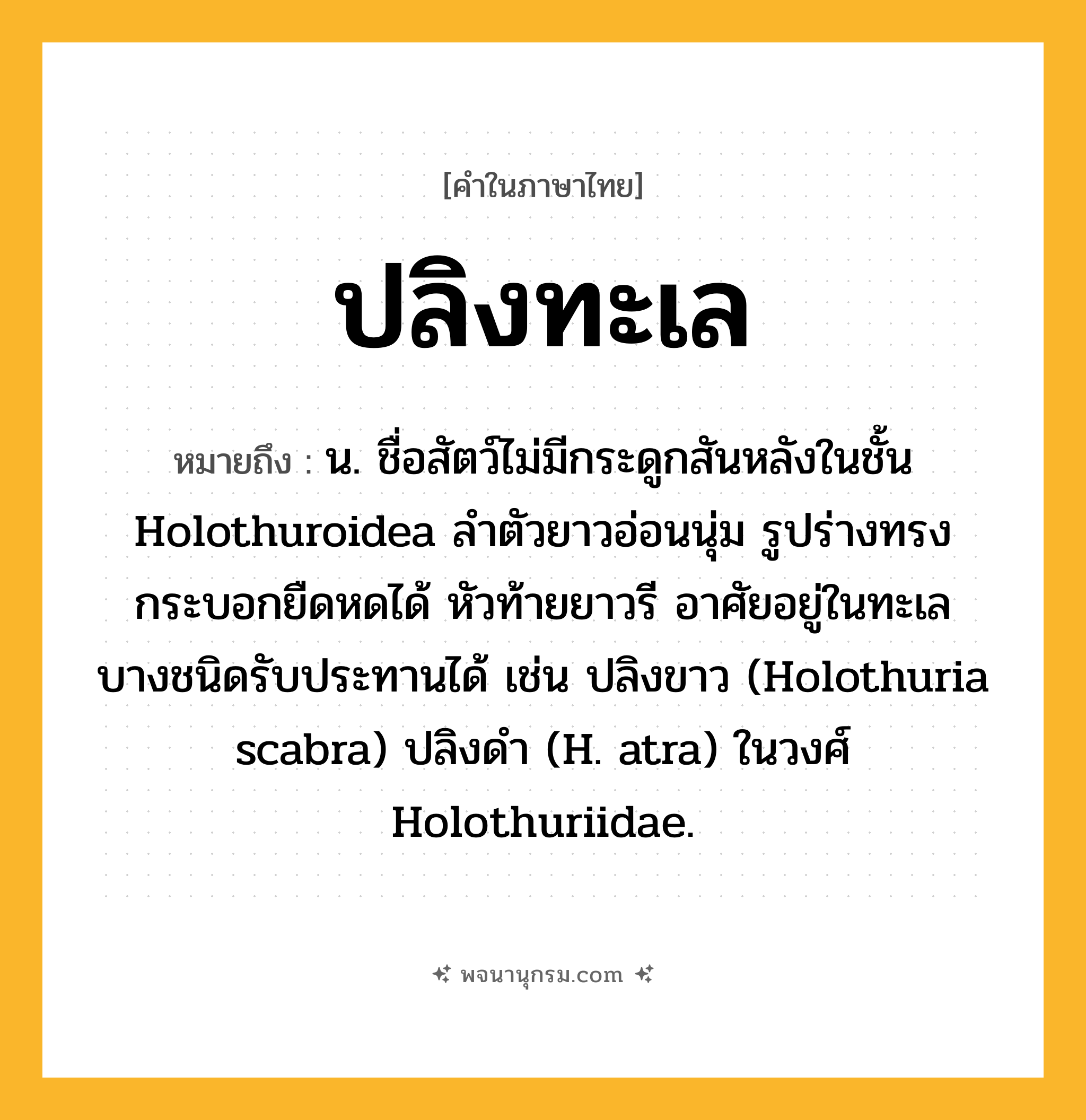ปลิงทะเล ความหมาย หมายถึงอะไร?, คำในภาษาไทย ปลิงทะเล หมายถึง น. ชื่อสัตว์ไม่มีกระดูกสันหลังในชั้น Holothuroidea ลำตัวยาวอ่อนนุ่ม รูปร่างทรงกระบอกยืดหดได้ หัวท้ายยาวรี อาศัยอยู่ในทะเล บางชนิดรับประทานได้ เช่น ปลิงขาว (Holothuria scabra) ปลิงดํา (H. atra) ในวงศ์ Holothuriidae.