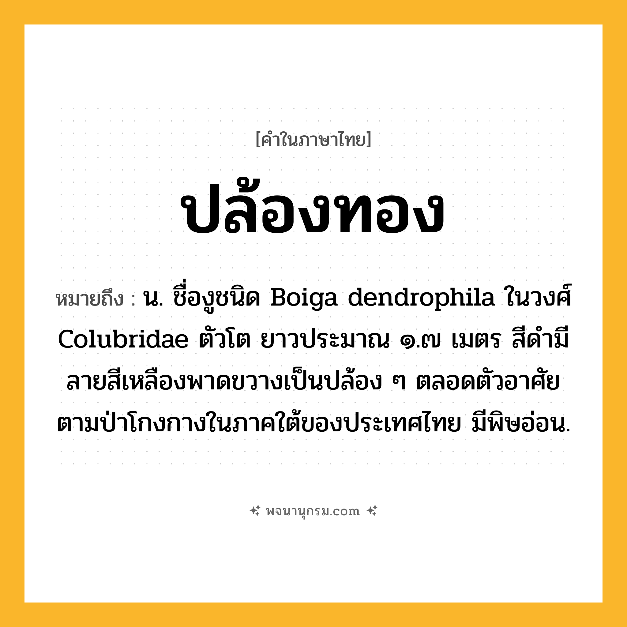 ปล้องทอง ความหมาย หมายถึงอะไร?, คำในภาษาไทย ปล้องทอง หมายถึง น. ชื่องูชนิด Boiga dendrophila ในวงศ์ Colubridae ตัวโต ยาวประมาณ ๑.๗ เมตร สีดํามีลายสีเหลืองพาดขวางเป็นปล้อง ๆ ตลอดตัวอาศัยตามป่าโกงกางในภาคใต้ของประเทศไทย มีพิษอ่อน.