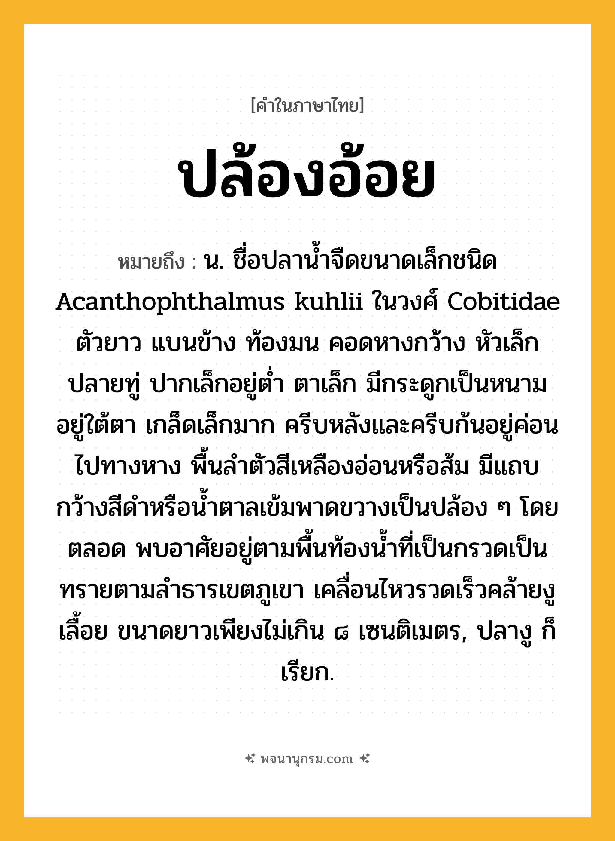 ปล้องอ้อย ความหมาย หมายถึงอะไร?, คำในภาษาไทย ปล้องอ้อย หมายถึง น. ชื่อปลานํ้าจืดขนาดเล็กชนิด Acanthophthalmus kuhlii ในวงศ์ Cobitidae ตัวยาว แบนข้าง ท้องมน คอดหางกว้าง หัวเล็กปลายทู่ ปากเล็กอยู่ตํ่า ตาเล็ก มีกระดูกเป็นหนามอยู่ใต้ตา เกล็ดเล็กมาก ครีบหลังและครีบก้นอยู่ค่อนไปทางหาง พื้นลําตัวสีเหลืองอ่อนหรือส้ม มีแถบกว้างสีดําหรือนํ้าตาลเข้มพาดขวางเป็นปล้อง ๆ โดยตลอด พบอาศัยอยู่ตามพื้นท้องนํ้าที่เป็นกรวดเป็นทรายตามลําธารเขตภูเขา เคลื่อนไหวรวดเร็วคล้ายงูเลื้อย ขนาดยาวเพียงไม่เกิน ๘ เซนติเมตร, ปลางู ก็เรียก.