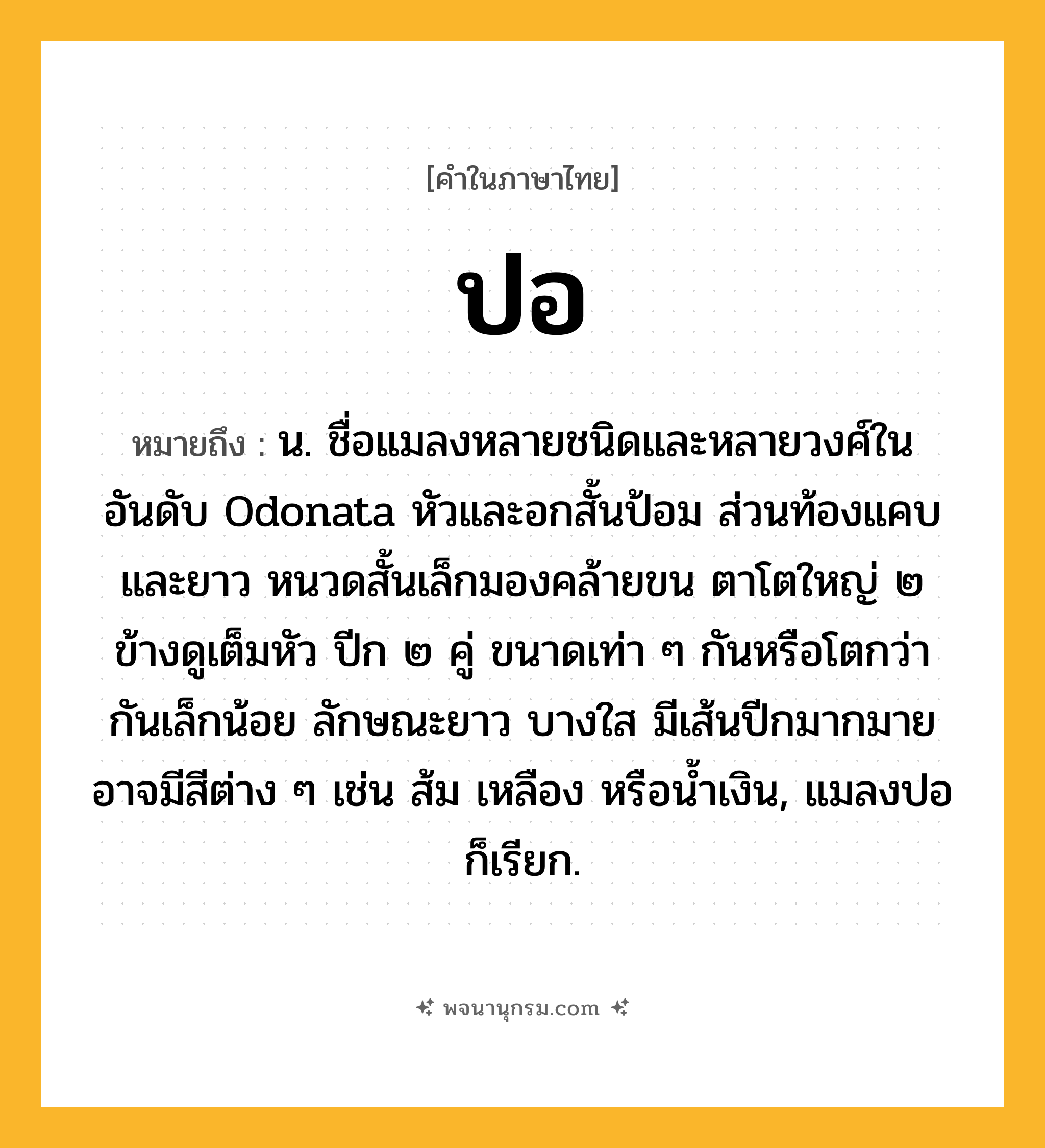 ปอ ความหมาย หมายถึงอะไร?, คำในภาษาไทย ปอ หมายถึง น. ชื่อแมลงหลายชนิดและหลายวงศ์ในอันดับ Odonata หัวและอกสั้นป้อม ส่วนท้องแคบและยาว หนวดสั้นเล็กมองคล้ายขน ตาโตใหญ่ ๒ ข้างดูเต็มหัว ปีก ๒ คู่ ขนาดเท่า ๆ กันหรือโตกว่ากันเล็กน้อย ลักษณะยาว บางใส มีเส้นปีกมากมาย อาจมีสีต่าง ๆ เช่น ส้ม เหลือง หรือนํ้าเงิน, แมลงปอ ก็เรียก.