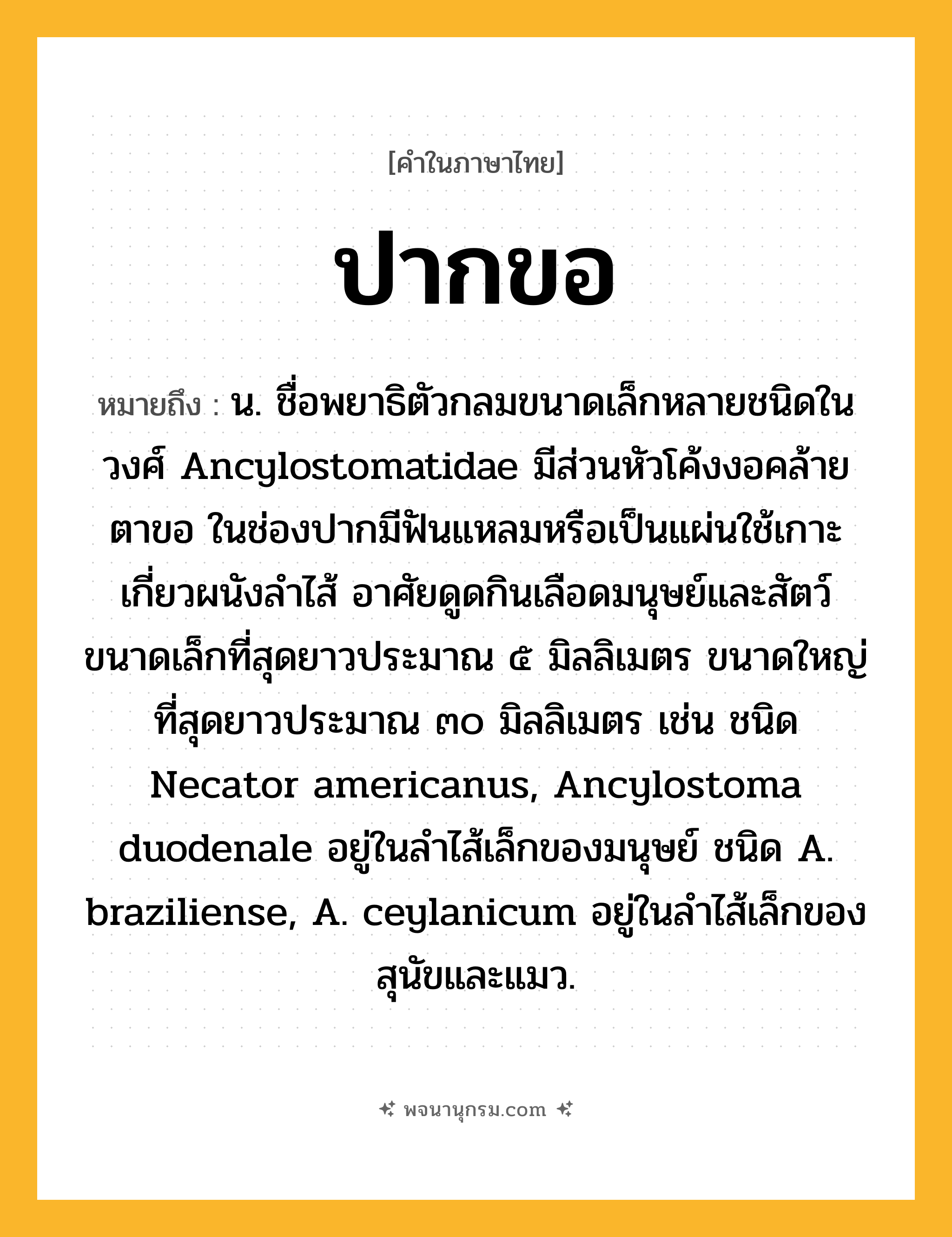 ปากขอ ความหมาย หมายถึงอะไร?, คำในภาษาไทย ปากขอ หมายถึง น. ชื่อพยาธิตัวกลมขนาดเล็กหลายชนิดในวงศ์ Ancylostomatidae มีส่วนหัวโค้งงอคล้ายตาขอ ในช่องปากมีฟันแหลมหรือเป็นแผ่นใช้เกาะเกี่ยวผนังลำไส้ อาศัยดูดกินเลือดมนุษย์และสัตว์ ขนาดเล็กที่สุดยาวประมาณ ๕ มิลลิเมตร ขนาดใหญ่ที่สุดยาวประมาณ ๓๐ มิลลิเมตร เช่น ชนิด Necator americanus, Ancylostoma duodenale อยู่ในลำไส้เล็กของมนุษย์ ชนิด A. braziliense, A. ceylanicum อยู่ในลำไส้เล็กของสุนัขและแมว.