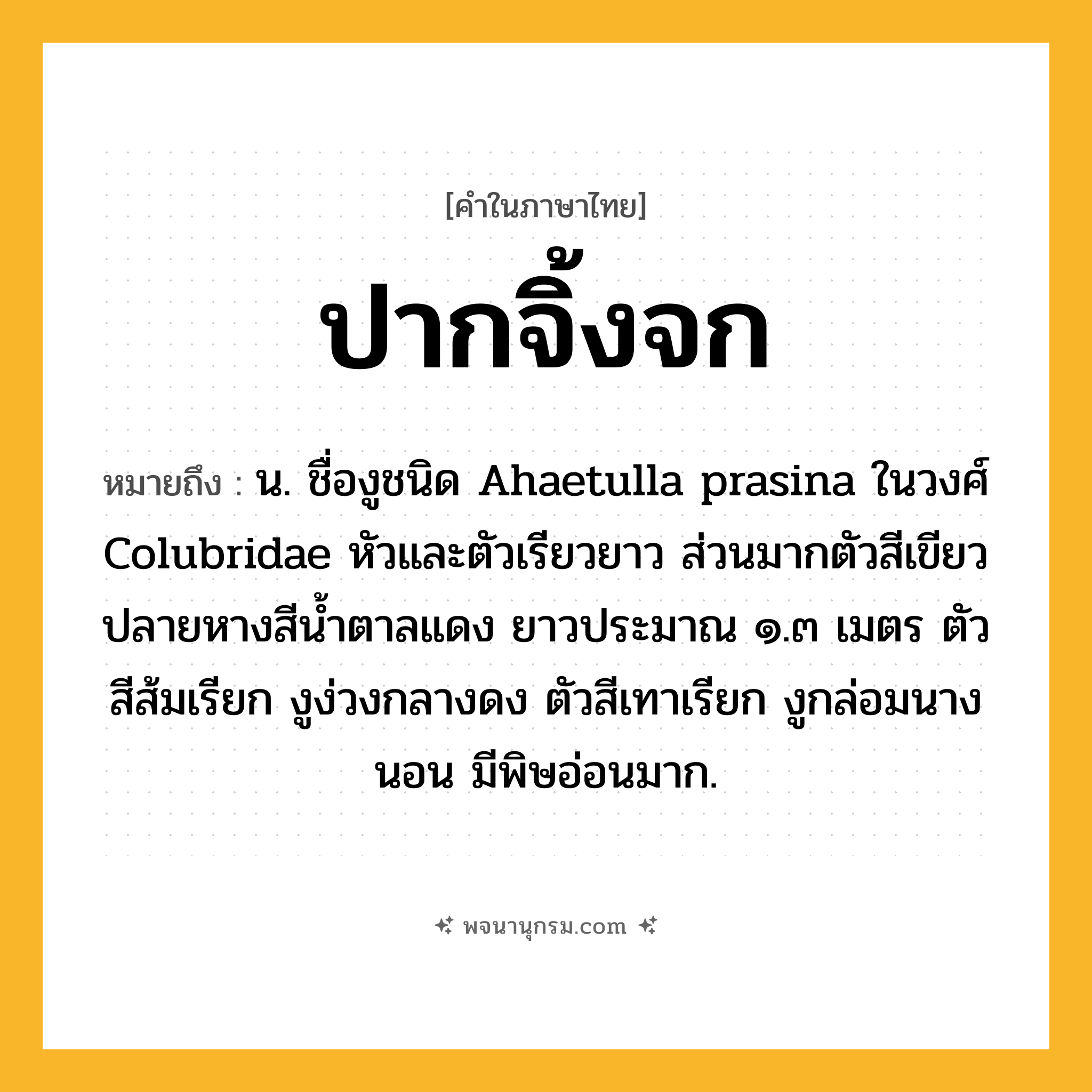 ปากจิ้งจก ความหมาย หมายถึงอะไร?, คำในภาษาไทย ปากจิ้งจก หมายถึง น. ชื่องูชนิด Ahaetulla prasina ในวงศ์ Colubridae หัวและตัวเรียวยาว ส่วนมากตัวสีเขียวปลายหางสีนํ้าตาลแดง ยาวประมาณ ๑.๓ เมตร ตัวสีส้มเรียก งูง่วงกลางดง ตัวสีเทาเรียก งูกล่อมนางนอน มีพิษอ่อนมาก.