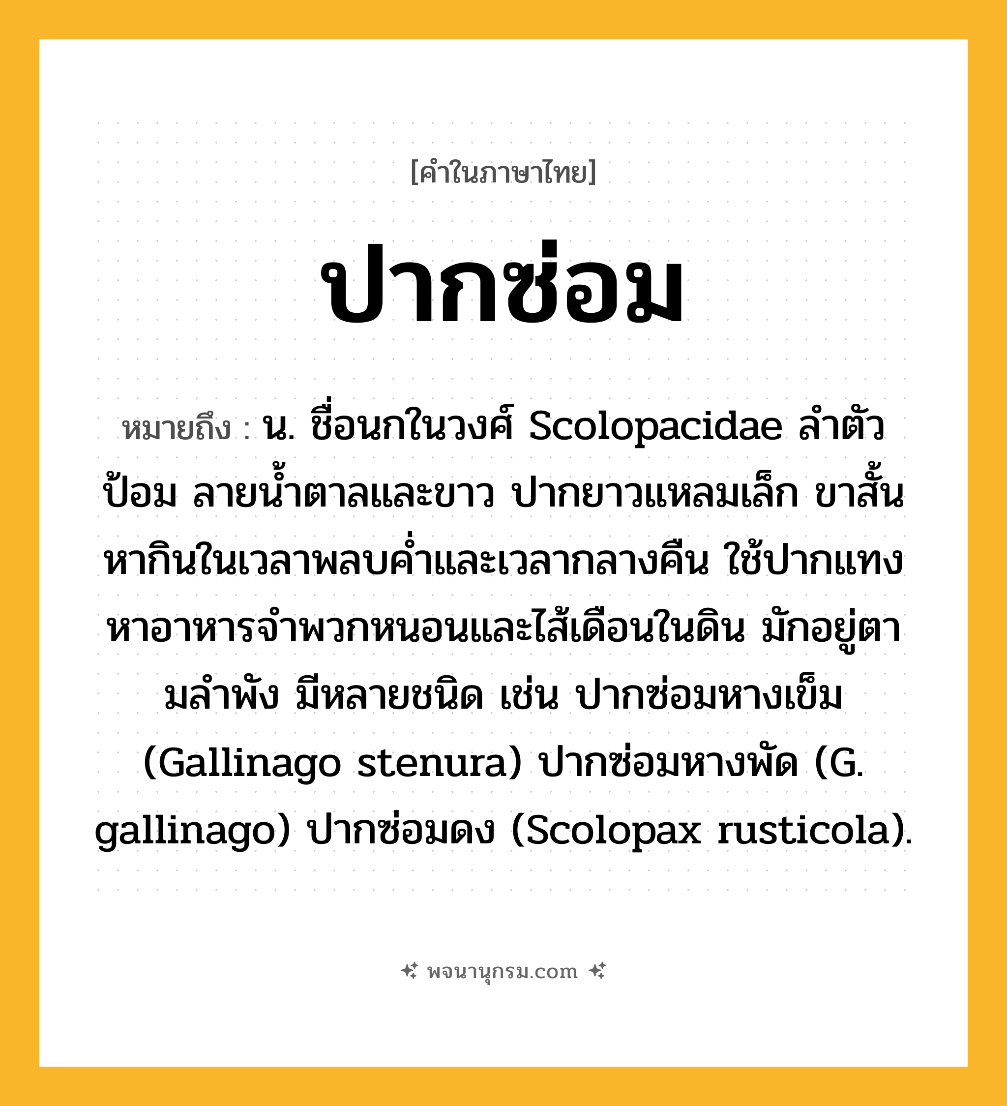 ปากซ่อม ความหมาย หมายถึงอะไร?, คำในภาษาไทย ปากซ่อม หมายถึง น. ชื่อนกในวงศ์ Scolopacidae ลําตัวป้อม ลายนํ้าตาลและขาว ปากยาวแหลมเล็ก ขาสั้น หากินในเวลาพลบคํ่าและเวลากลางคืน ใช้ปากแทงหาอาหารจําพวกหนอนและไส้เดือนในดิน มักอยู่ตามลําพัง มีหลายชนิด เช่น ปากซ่อมหางเข็ม (Gallinago stenura) ปากซ่อมหางพัด (G. gallinago) ปากซ่อมดง (Scolopax rusticola).
