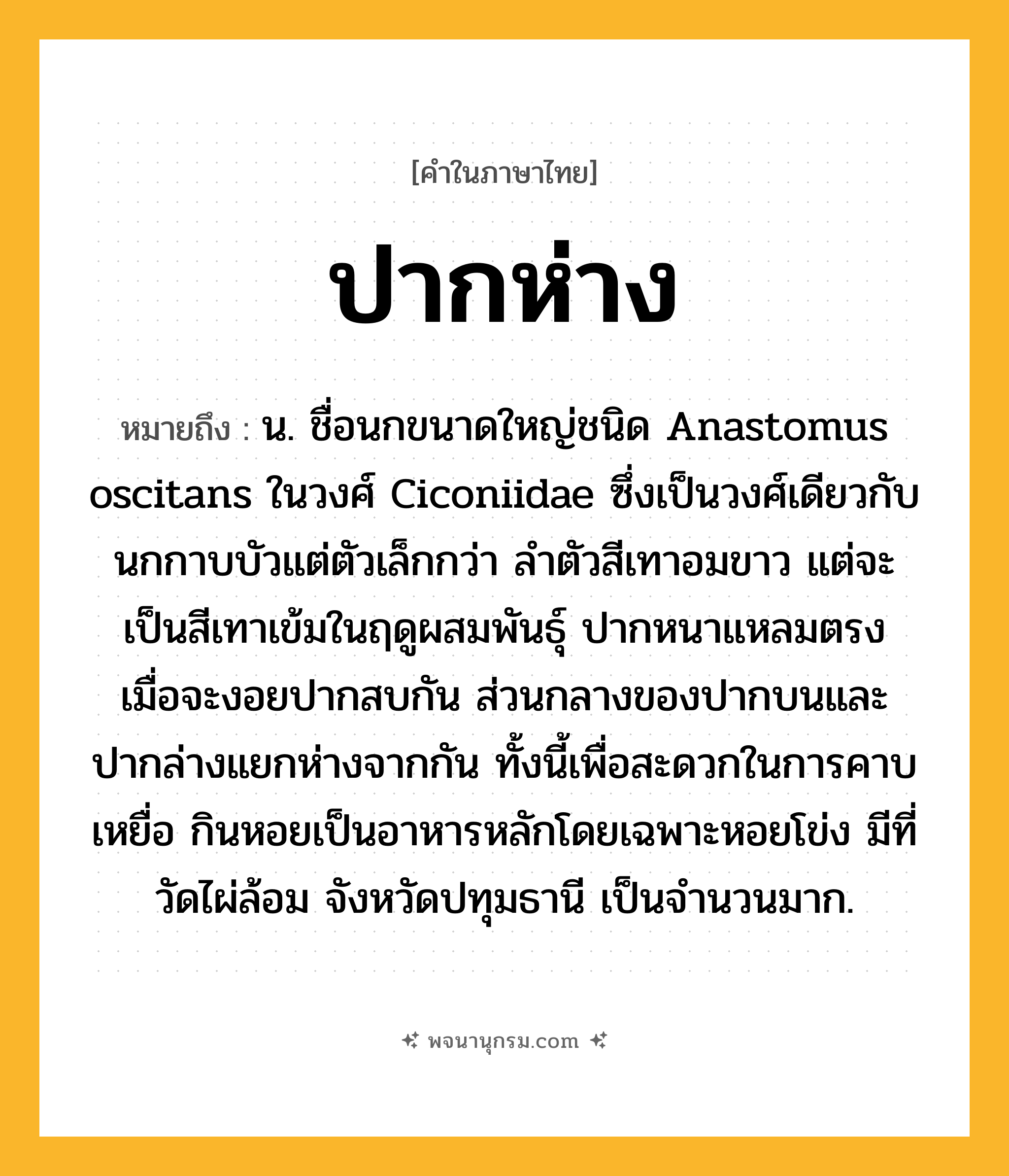 ปากห่าง ความหมาย หมายถึงอะไร?, คำในภาษาไทย ปากห่าง หมายถึง น. ชื่อนกขนาดใหญ่ชนิด Anastomus oscitans ในวงศ์ Ciconiidae ซึ่งเป็นวงศ์เดียวกับนกกาบบัวแต่ตัวเล็กกว่า ลําตัวสีเทาอมขาว แต่จะเป็นสีเทาเข้มในฤดูผสมพันธุ์ ปากหนาแหลมตรง เมื่อจะงอยปากสบกัน ส่วนกลางของปากบนและปากล่างแยกห่างจากกัน ทั้งนี้เพื่อสะดวกในการคาบเหยื่อ กินหอยเป็นอาหารหลักโดยเฉพาะหอยโข่ง มีที่วัดไผ่ล้อม จังหวัดปทุมธานี เป็นจํานวนมาก.