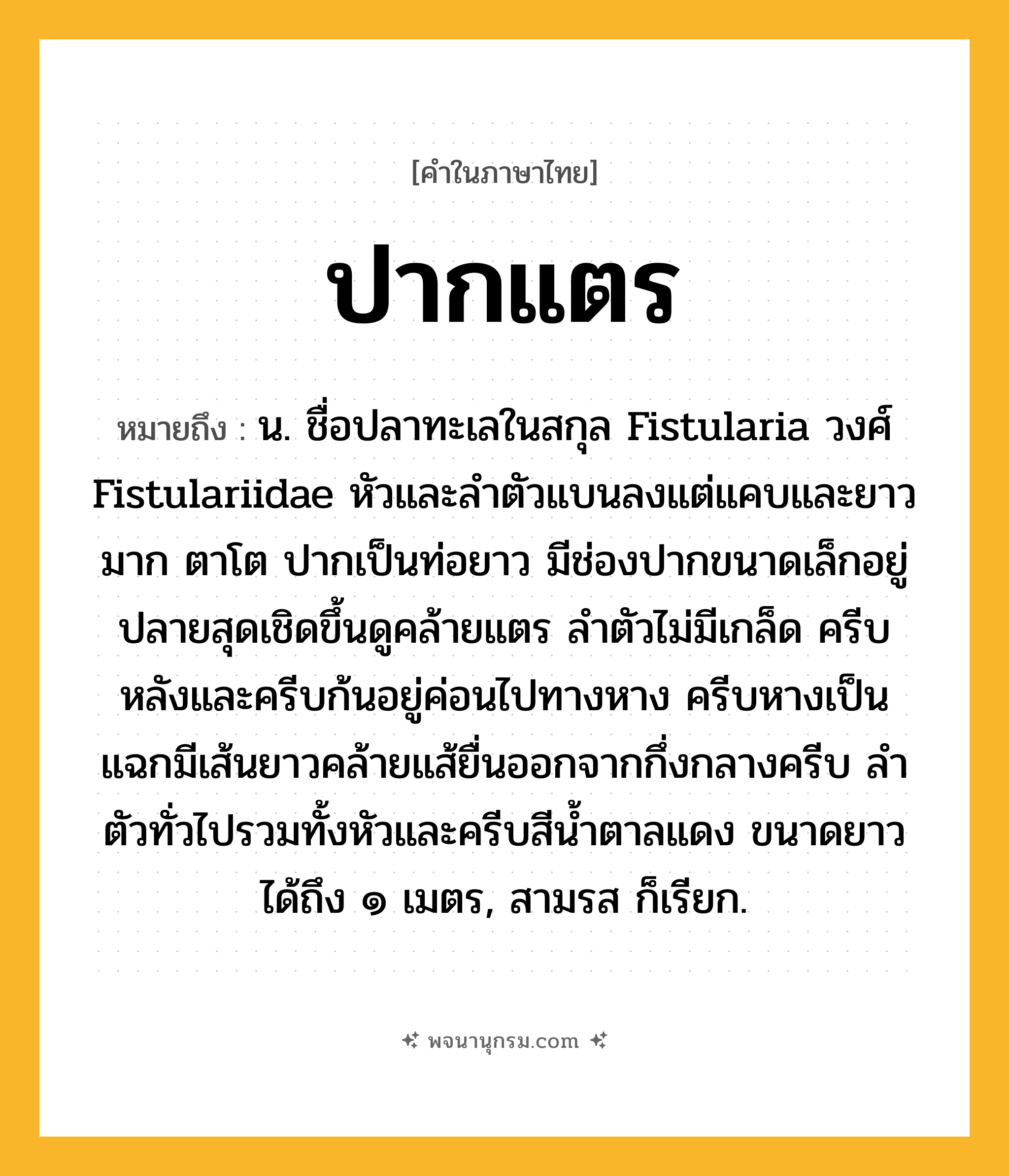 ปากแตร ความหมาย หมายถึงอะไร?, คำในภาษาไทย ปากแตร หมายถึง น. ชื่อปลาทะเลในสกุล Fistularia วงศ์ Fistulariidae หัวและลําตัวแบนลงแต่แคบและยาวมาก ตาโต ปากเป็นท่อยาว มีช่องปากขนาดเล็กอยู่ปลายสุดเชิดขึ้นดูคล้ายแตร ลําตัวไม่มีเกล็ด ครีบหลังและครีบก้นอยู่ค่อนไปทางหาง ครีบหางเป็นแฉกมีเส้นยาวคล้ายแส้ยื่นออกจากกึ่งกลางครีบ ลําตัวทั่วไปรวมทั้งหัวและครีบสีนํ้าตาลแดง ขนาดยาวได้ถึง ๑ เมตร, สามรส ก็เรียก.