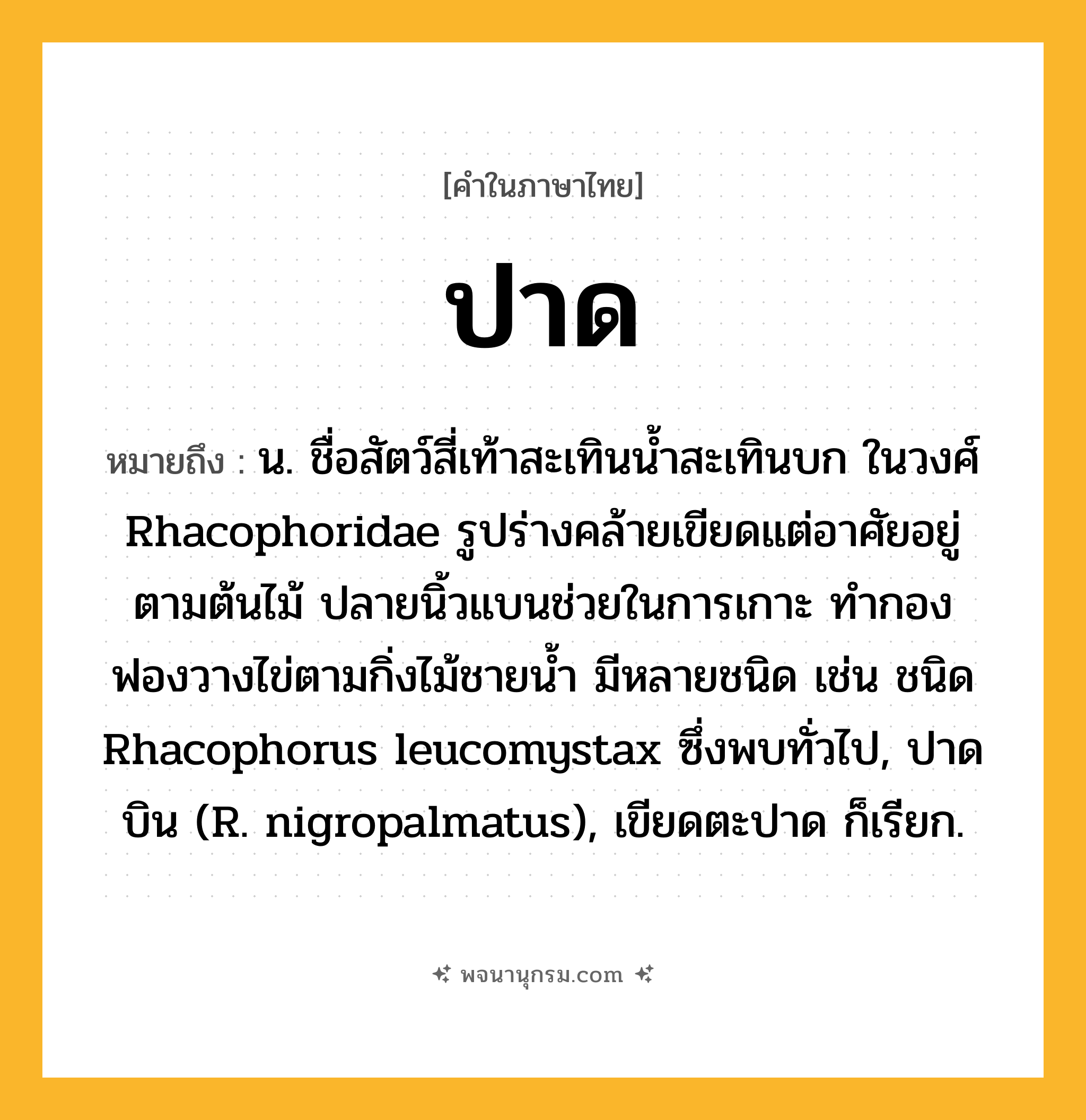 ปาด ความหมาย หมายถึงอะไร?, คำในภาษาไทย ปาด หมายถึง น. ชื่อสัตว์สี่เท้าสะเทินนํ้าสะเทินบก ในวงศ์ Rhacophoridae รูปร่างคล้ายเขียดแต่อาศัยอยู่ตามต้นไม้ ปลายนิ้วแบนช่วยในการเกาะ ทํากองฟองวางไข่ตามกิ่งไม้ชายนํ้า มีหลายชนิด เช่น ชนิด Rhacophorus leucomystax ซึ่งพบทั่วไป, ปาดบิน (R. nigropalmatus), เขียดตะปาด ก็เรียก.