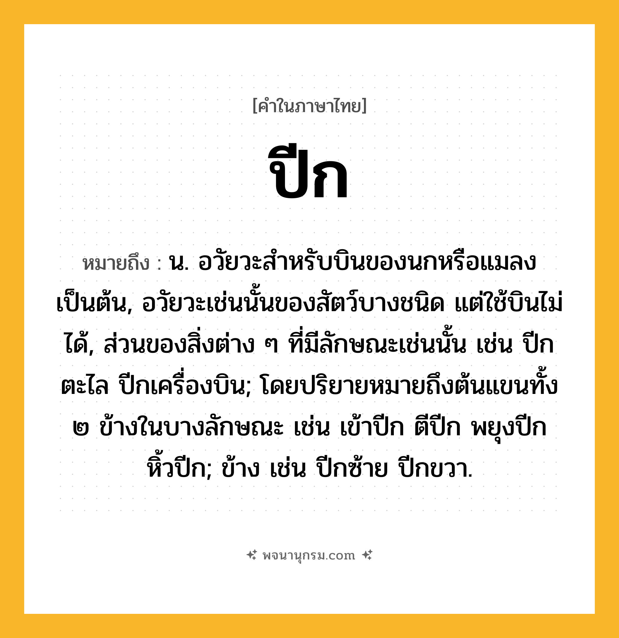 ปีก ความหมาย หมายถึงอะไร?, คำในภาษาไทย ปีก หมายถึง น. อวัยวะสําหรับบินของนกหรือแมลงเป็นต้น, อวัยวะเช่นนั้นของสัตว์บางชนิด แต่ใช้บินไม่ได้, ส่วนของสิ่งต่าง ๆ ที่มีลักษณะเช่นนั้น เช่น ปีกตะไล ปีกเครื่องบิน; โดยปริยายหมายถึงต้นแขนทั้ง ๒ ข้างในบางลักษณะ เช่น เข้าปีก ตีปีก พยุงปีก หิ้วปีก; ข้าง เช่น ปีกซ้าย ปีกขวา.