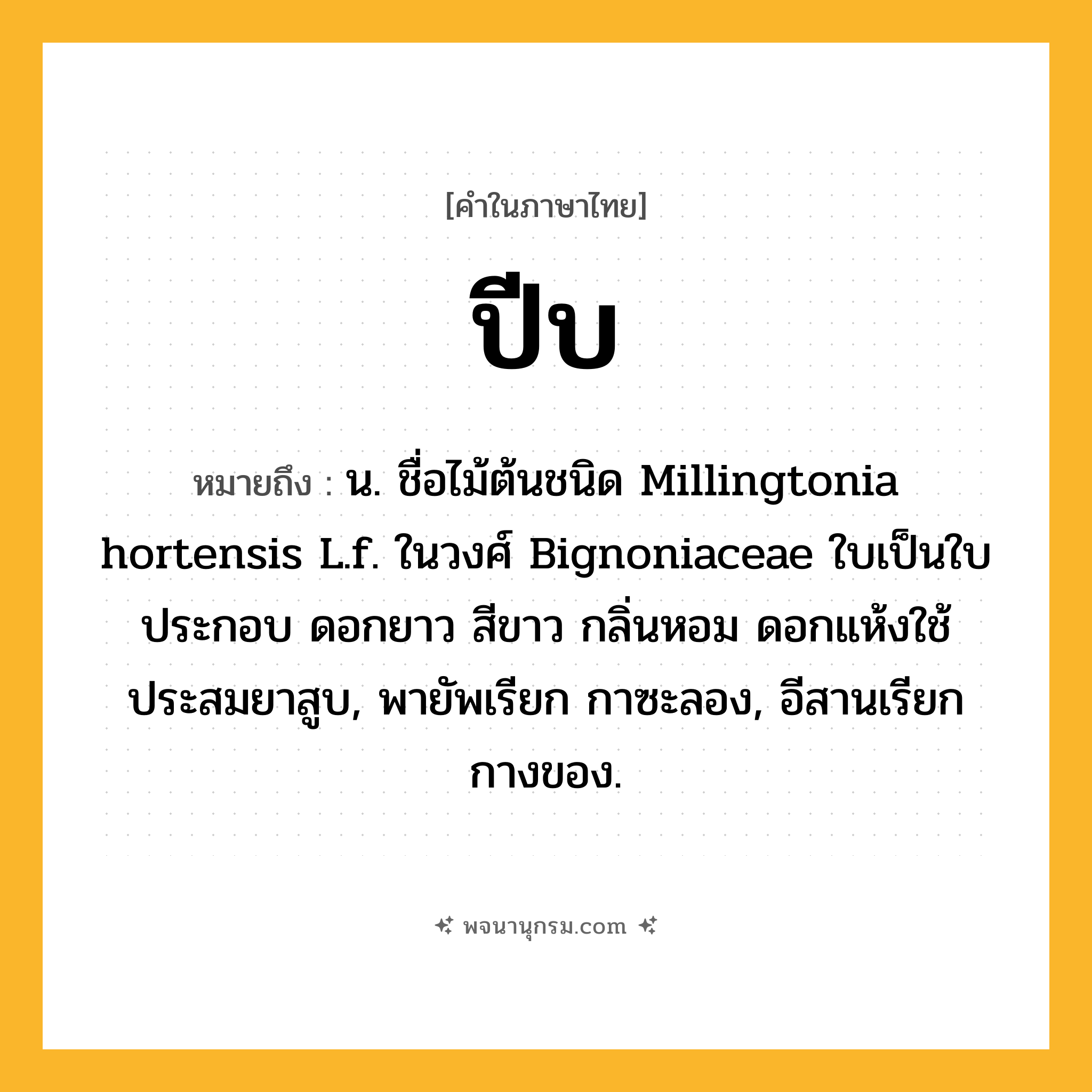 ปีบ ความหมาย หมายถึงอะไร?, คำในภาษาไทย ปีบ หมายถึง น. ชื่อไม้ต้นชนิด Millingtonia hortensis L.f. ในวงศ์ Bignoniaceae ใบเป็นใบประกอบ ดอกยาว สีขาว กลิ่นหอม ดอกแห้งใช้ประสมยาสูบ, พายัพเรียก กาซะลอง, อีสานเรียก กางของ.